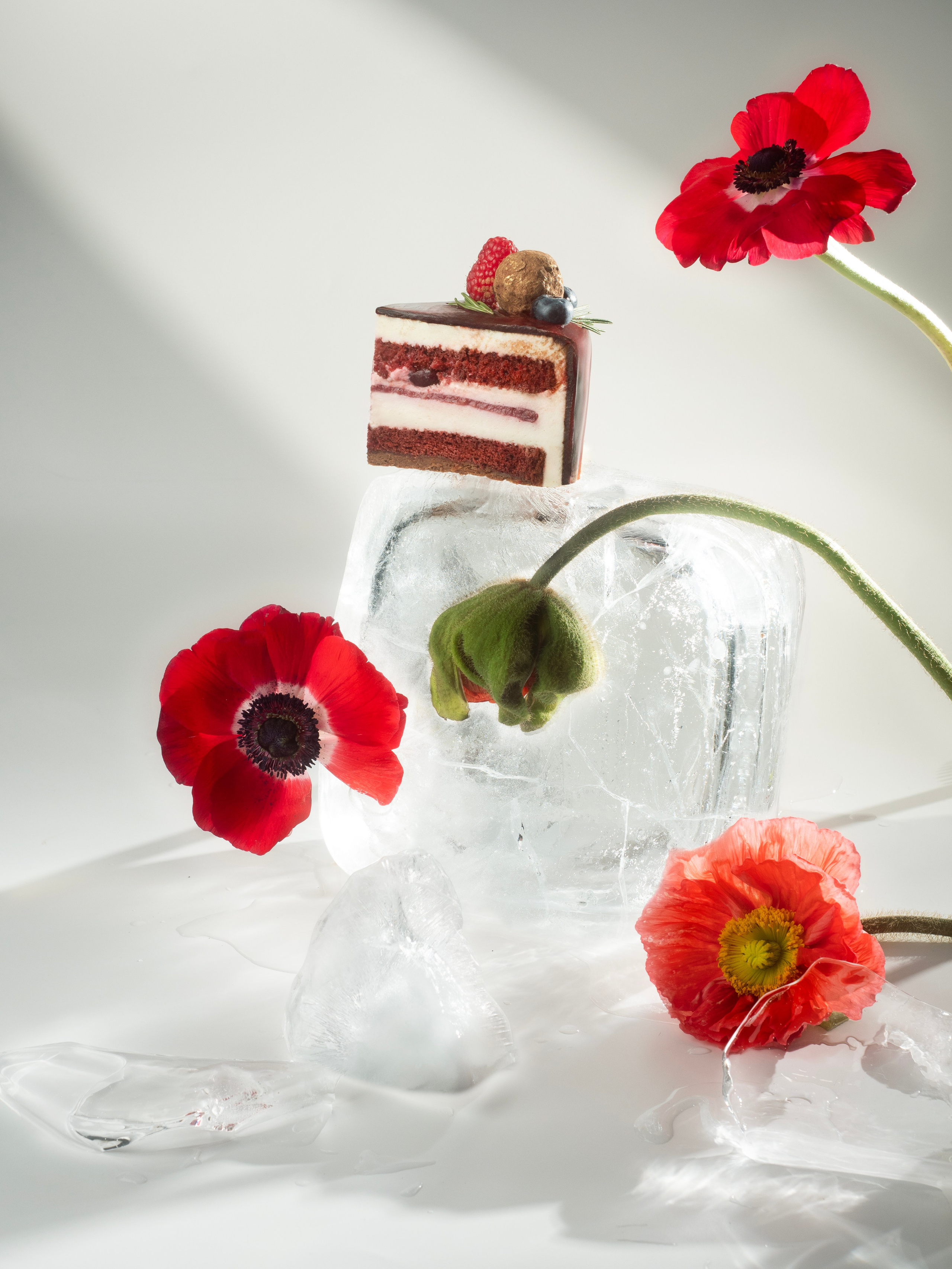 Съёмка для кондитерской Север Метрополь. Фотограф Калинич Юлия