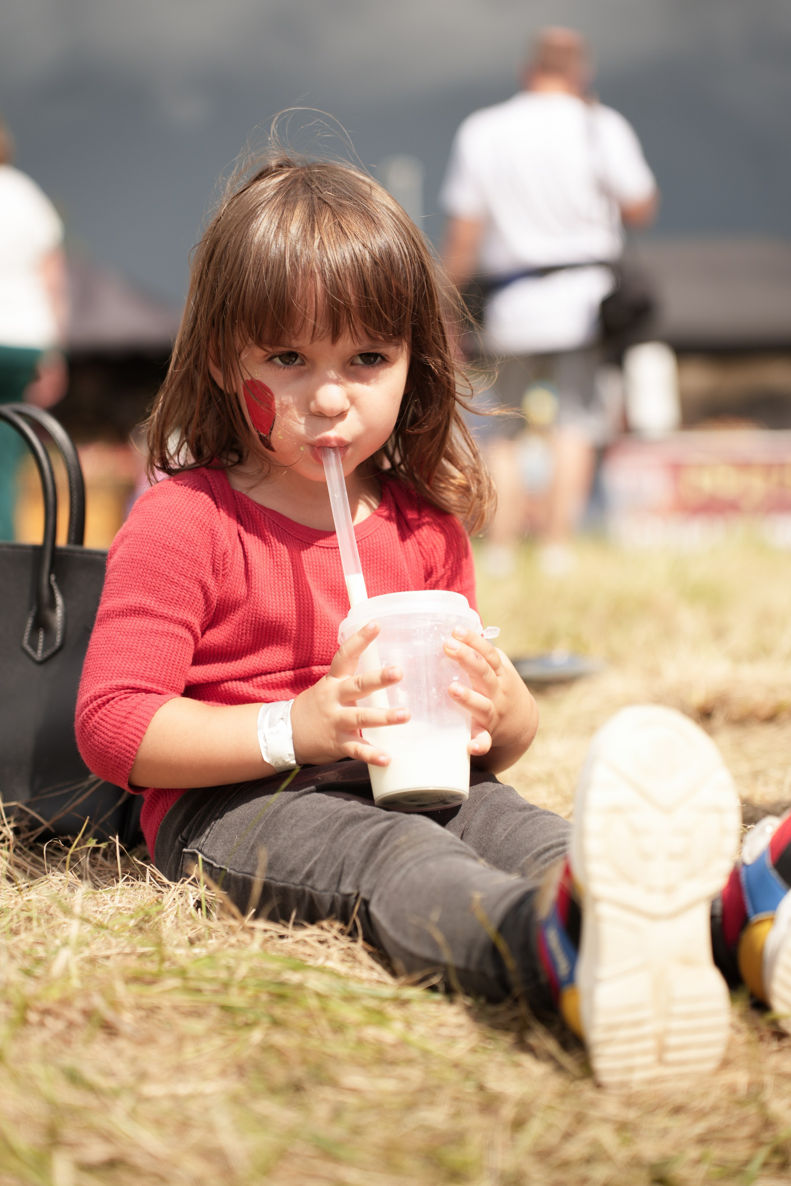 Фестиваль шаров Переславль. Свадебный и семейный видеограф в Москве Гера Филатов