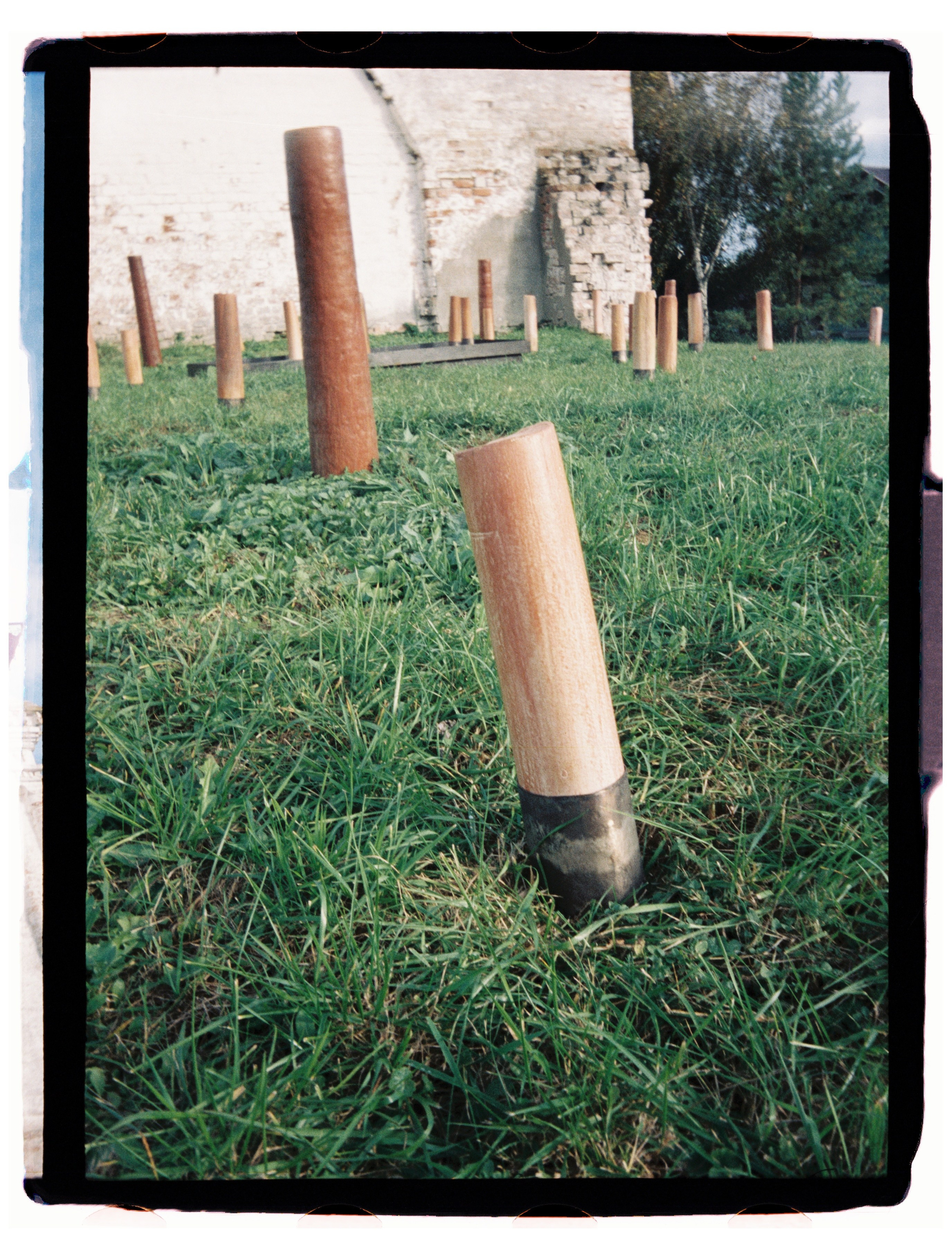 Пленка для журнала. Профессиональный Фотограф во Владимире, в Москве и в Суздале — Полина Романычева