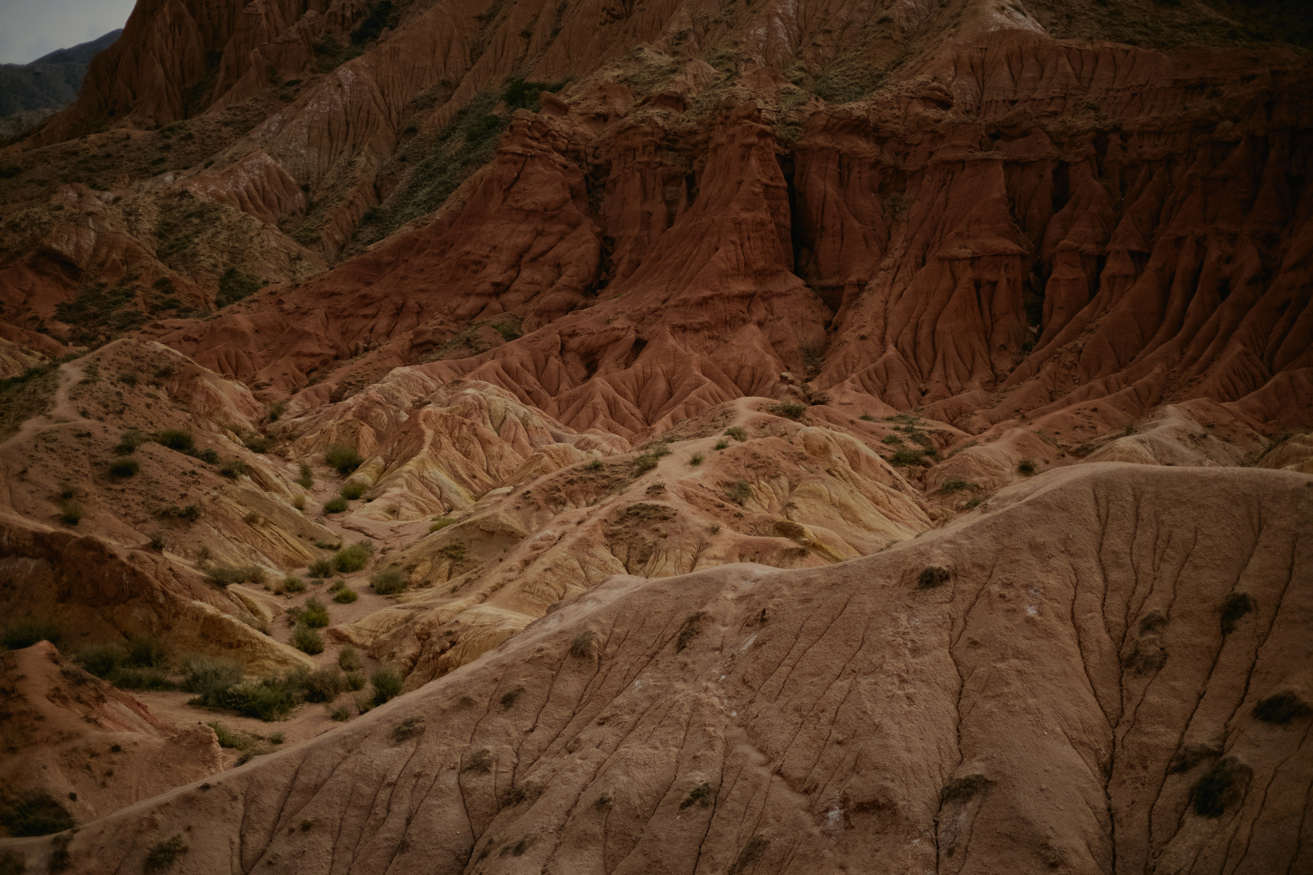 Кыргызтан. Профессиональный Фотограф во Владимире, в Москве и в Суздале — Полина Романычева