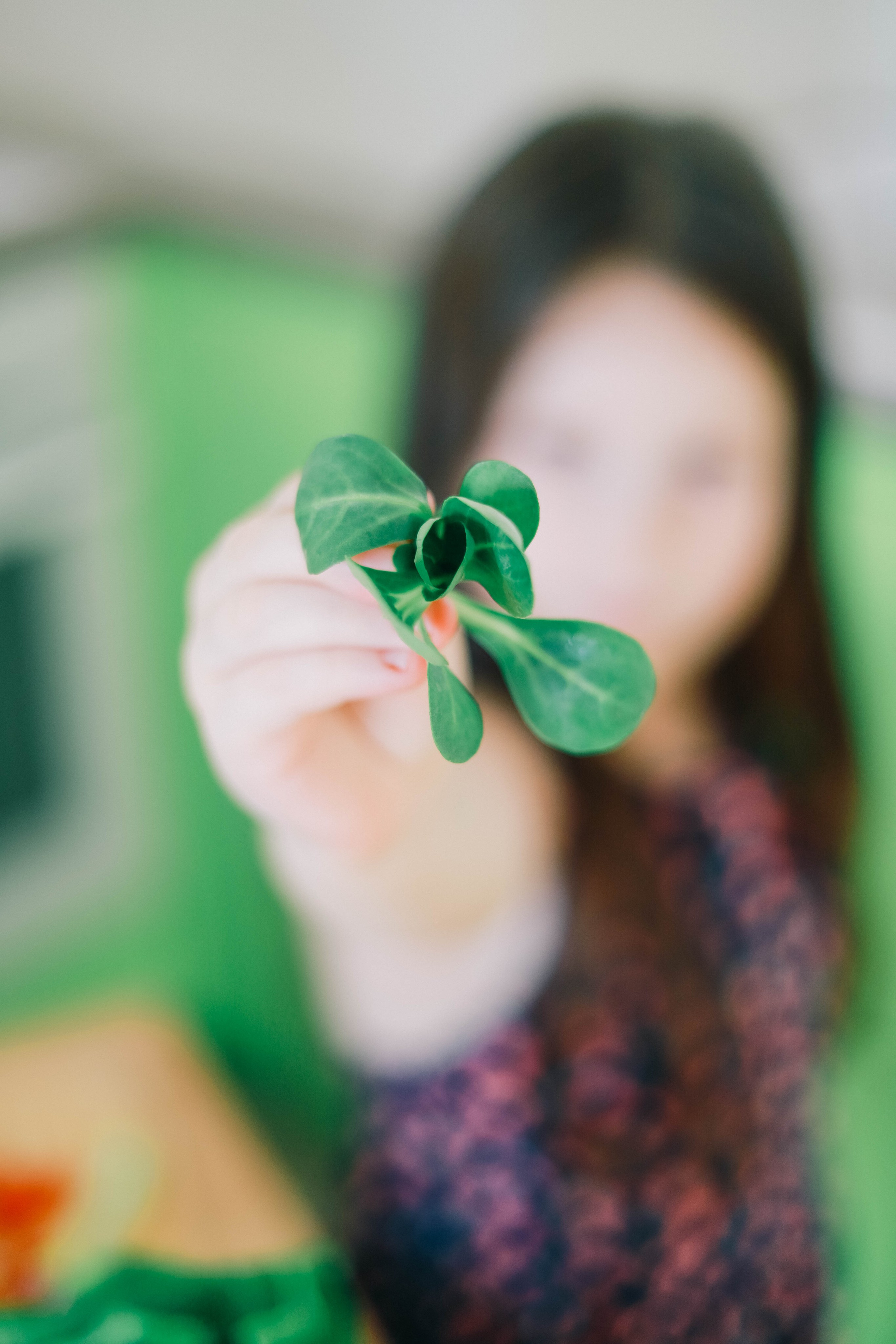 Луиза домашняя фотосессия. Женский/Детский фотограф в Симферополе Вероника Слепогина
