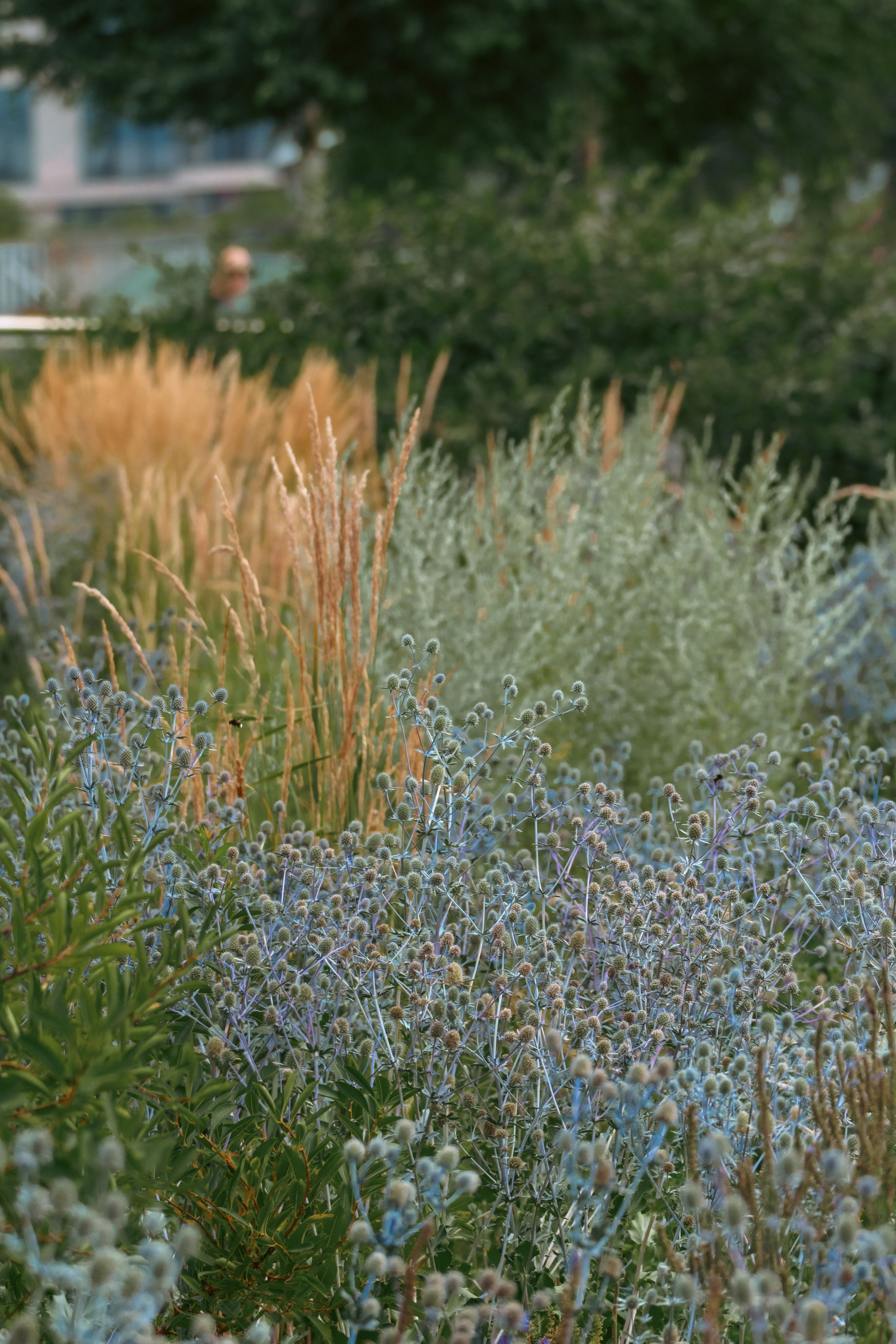 Природа. Фотограф в Санкт-Петербурге Ибрагимова Алина