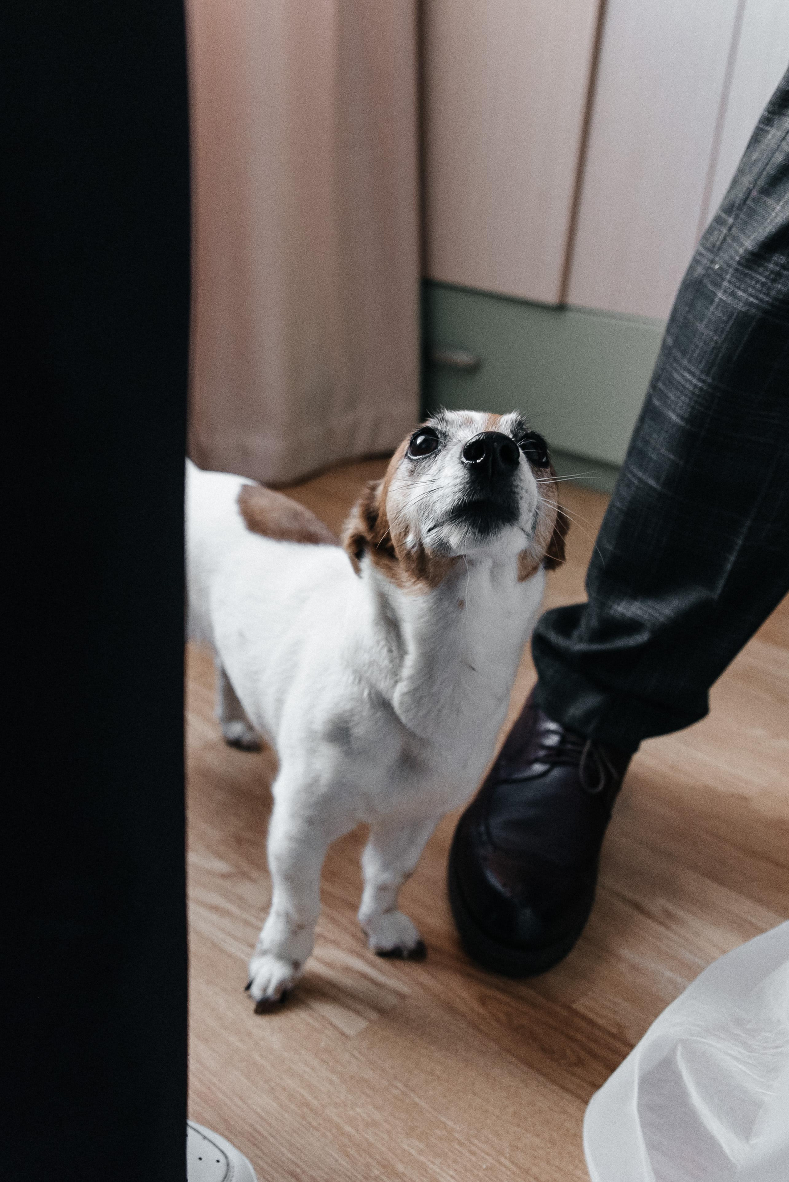 Плясала даже люстра :). Свадебный фотограф Москва — Юлия Фоменко — профессиональный фотограф