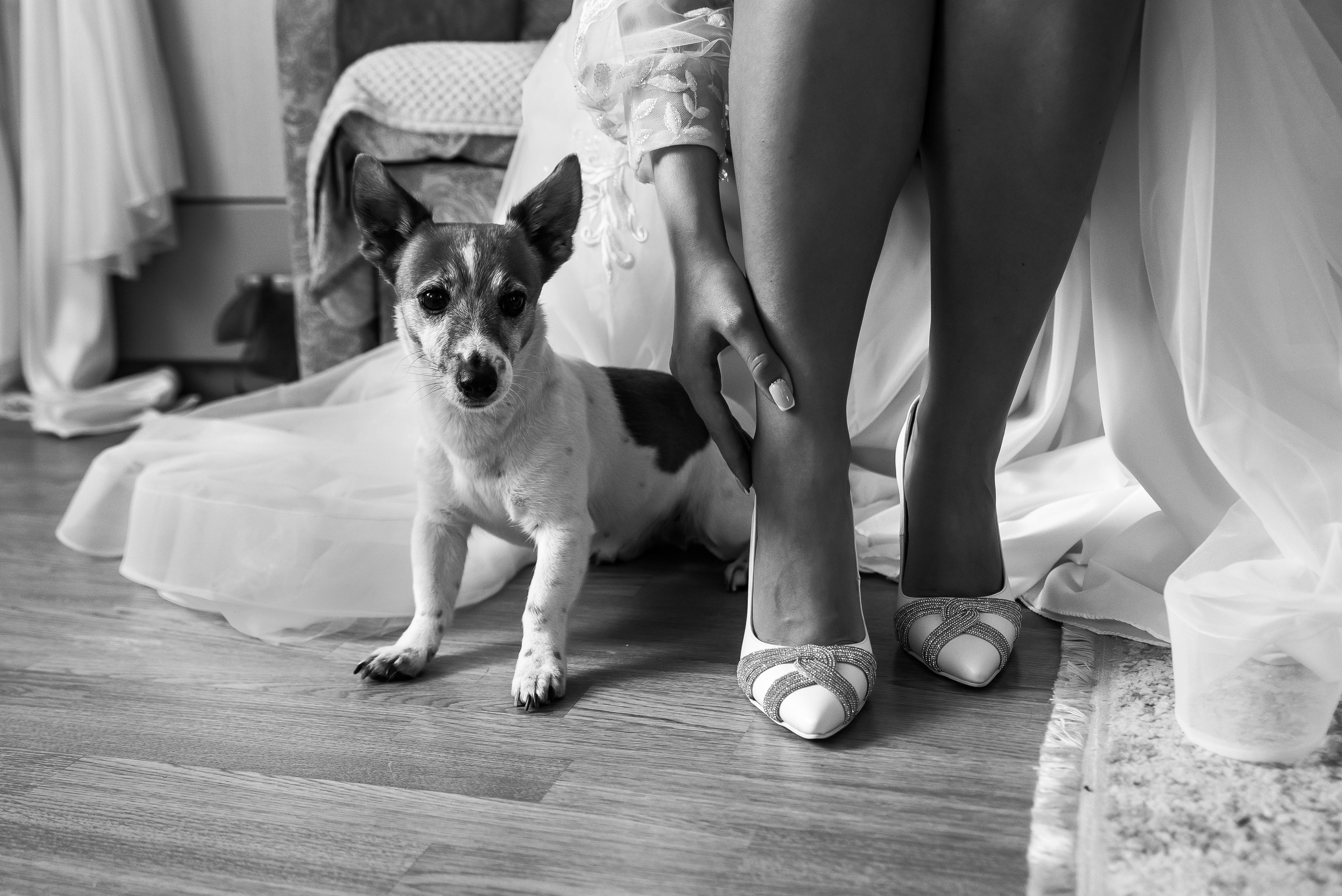 Плясала даже люстра :). Свадебный фотограф Москва — Юлия Фоменко — профессиональный фотограф