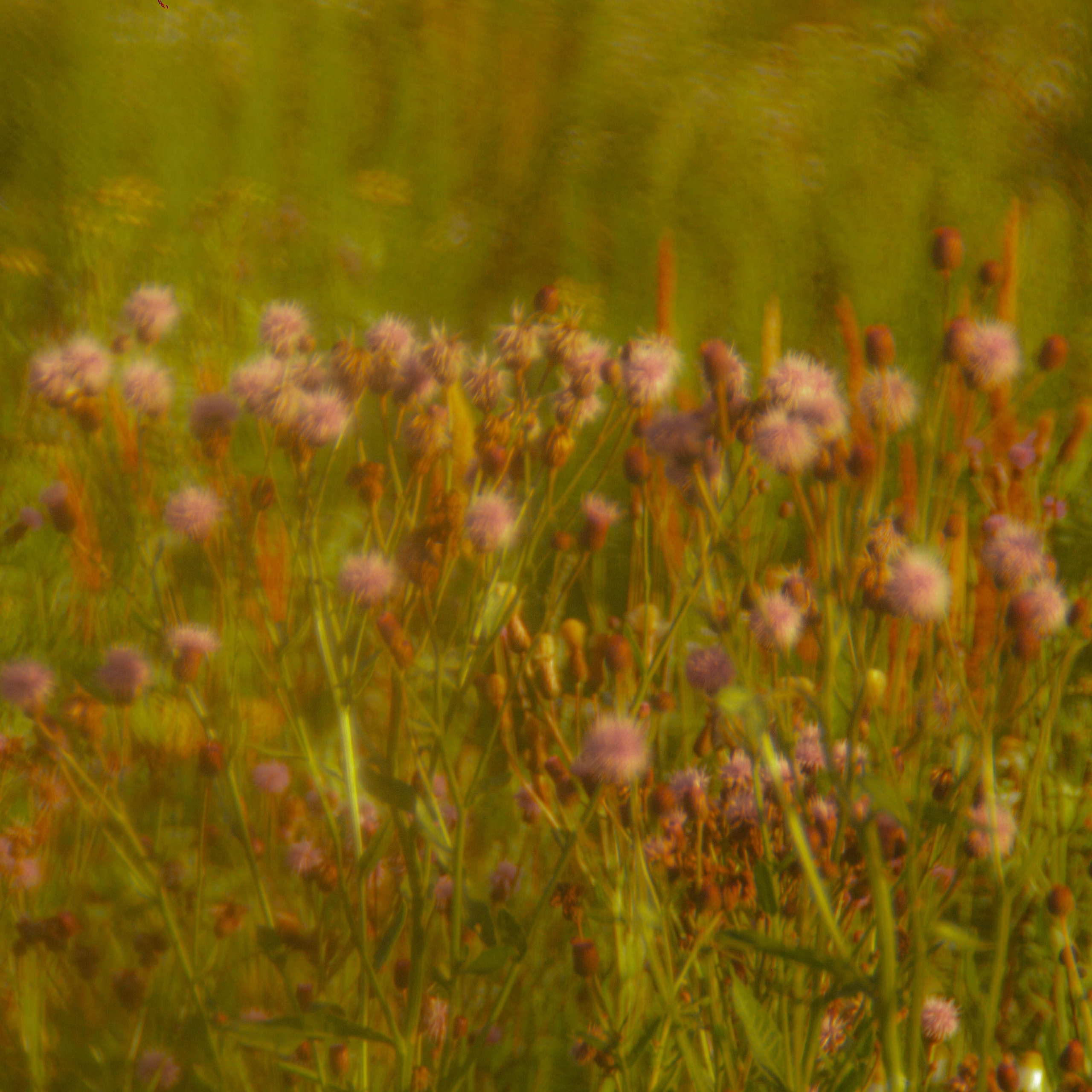 Ностальгия