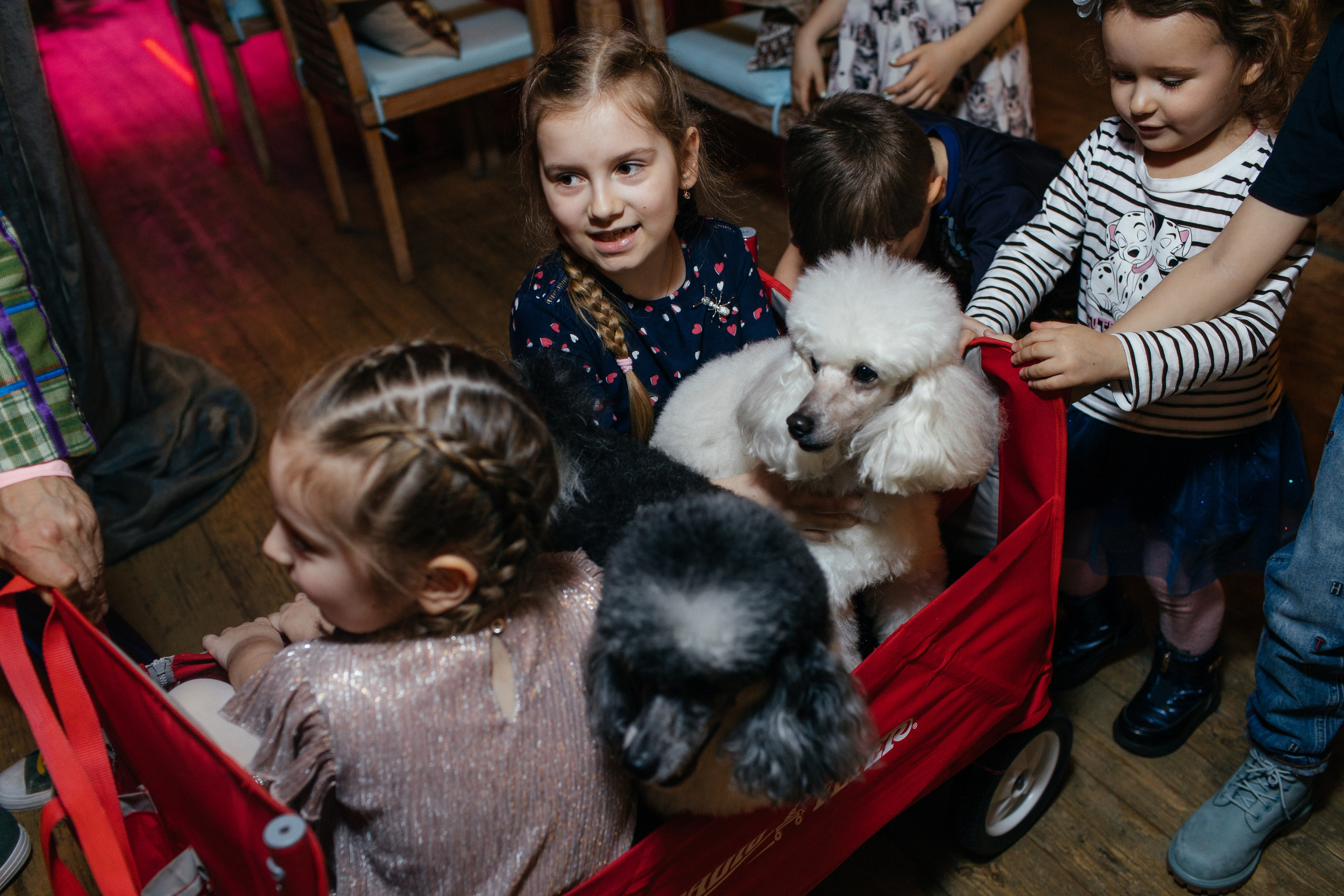 Алине 7 лет. Свадебный и семейный фотограф