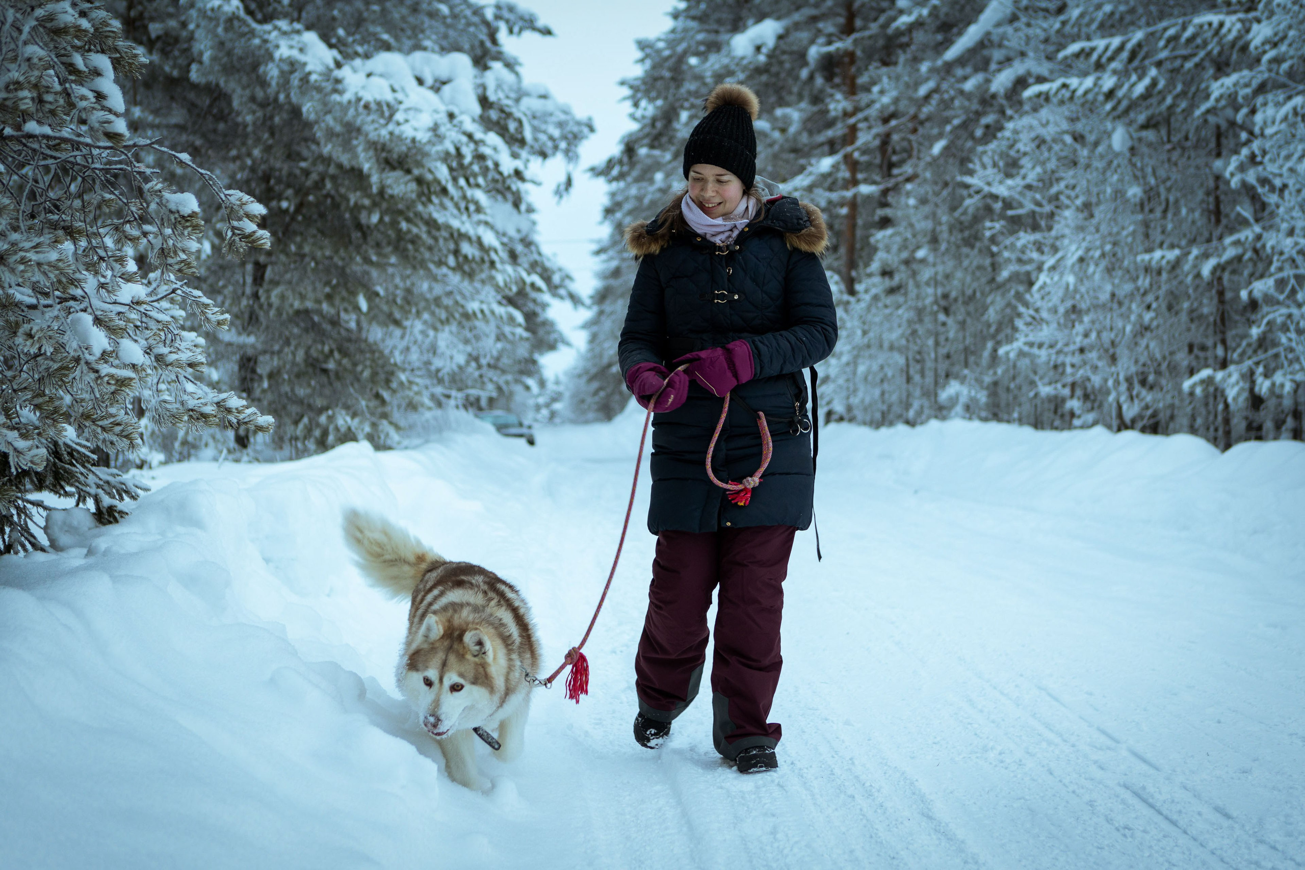 Калевала (зима 2022). Фотограф Виноградов Константин