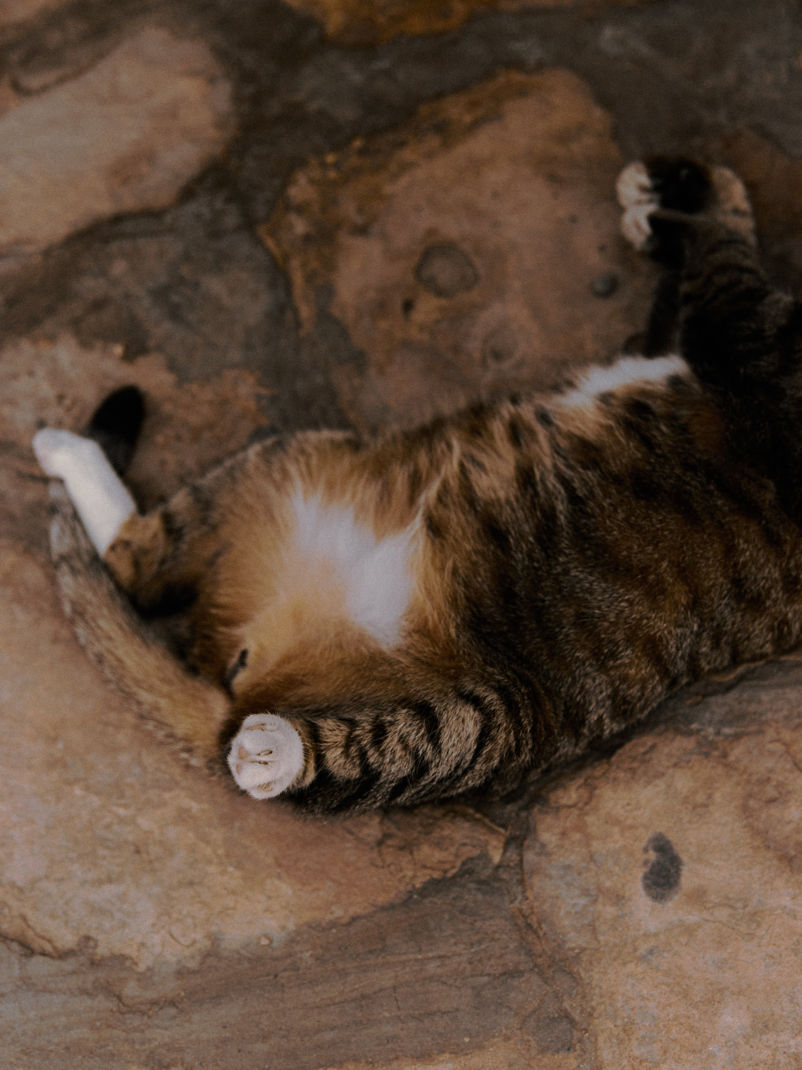 Диптих. Jorgis — фотограф в Хургаде / обучение фотографии