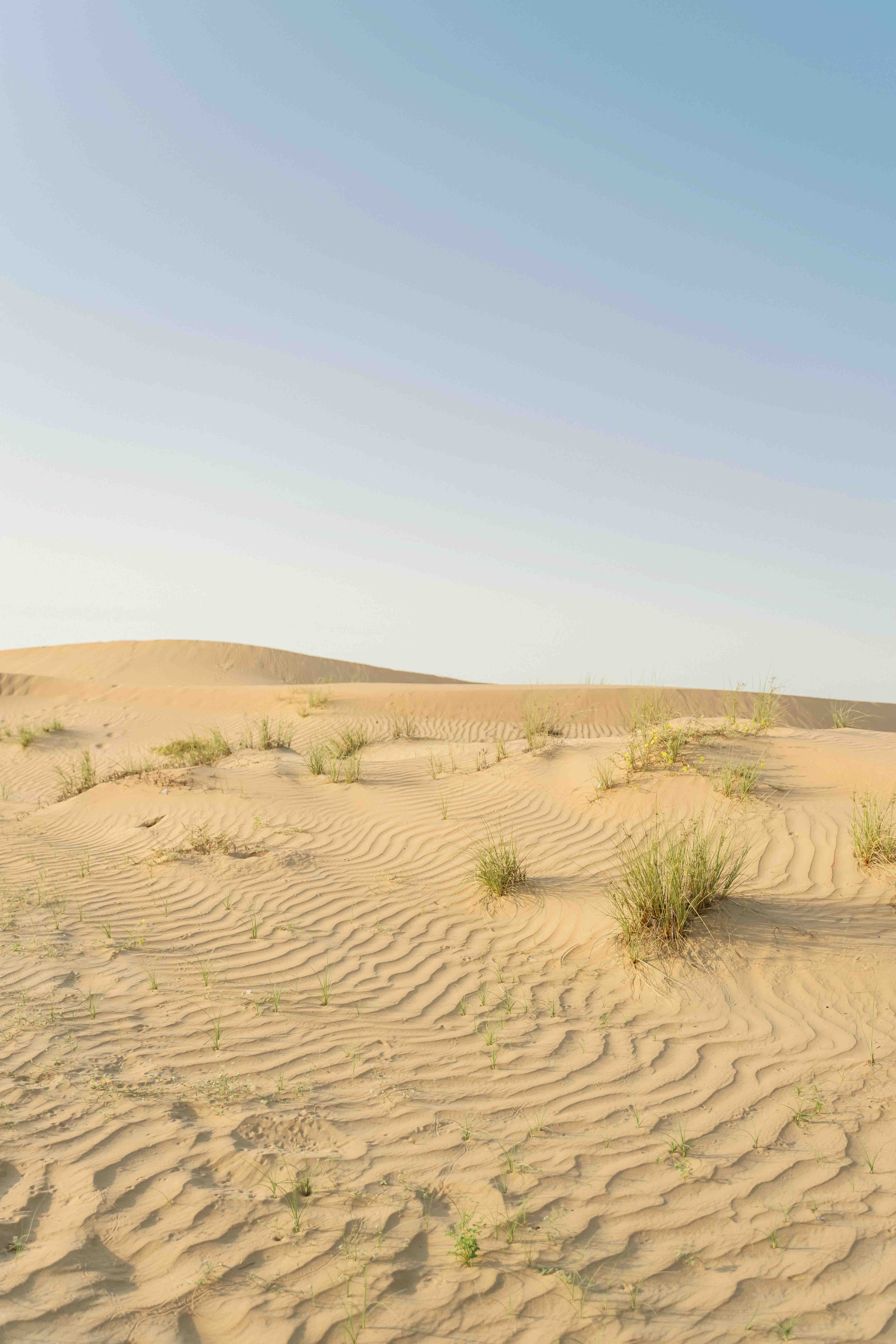Свадебная фотосессия Олега и Кати на природе. Фотограф и видеограф в Москве и Абу Даби Мария Кулагина