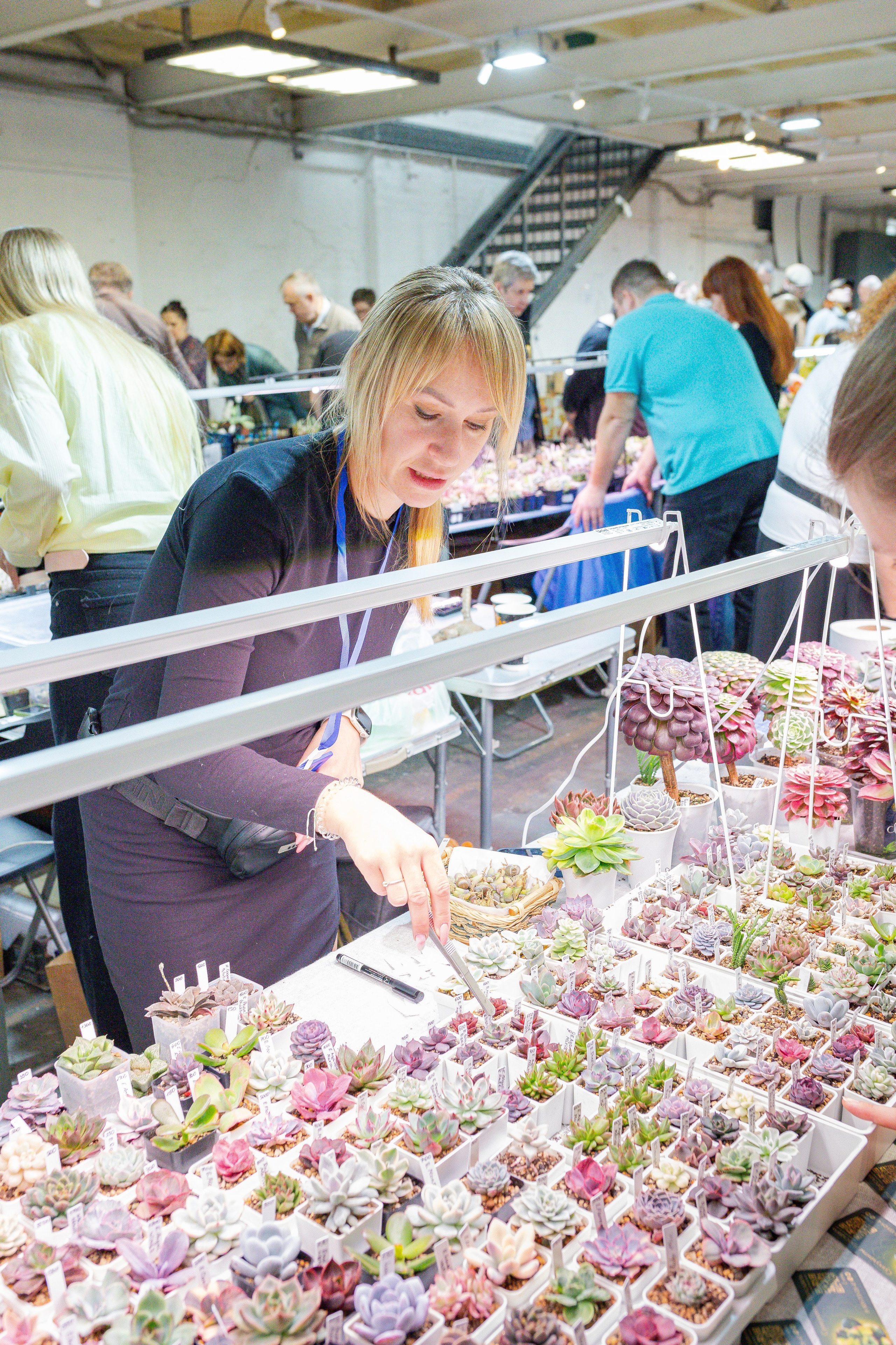 Кактус Фест. Александра Куликова фотограф, Москва