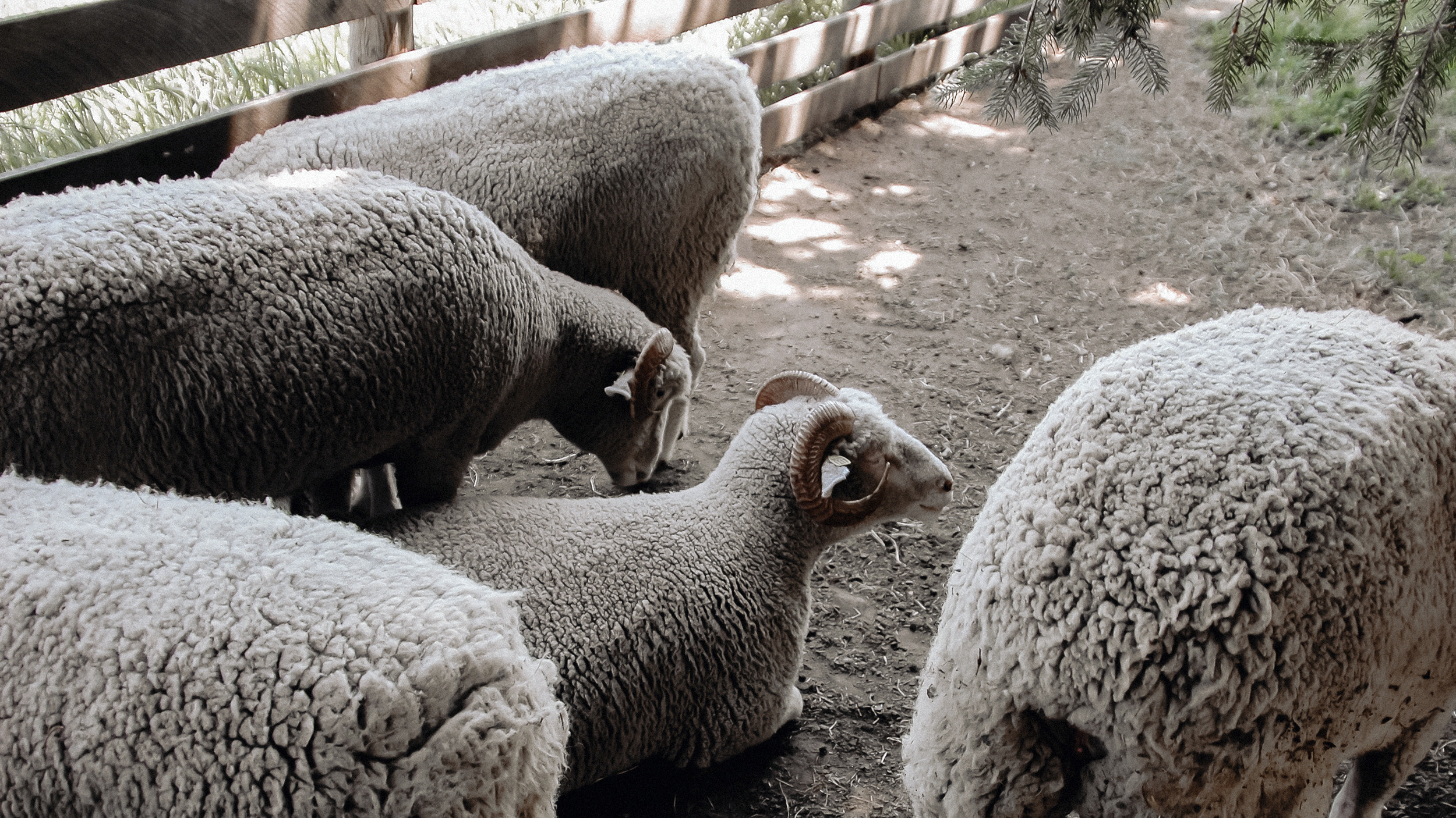 America. ХРОНИКИ ХРОНОСА