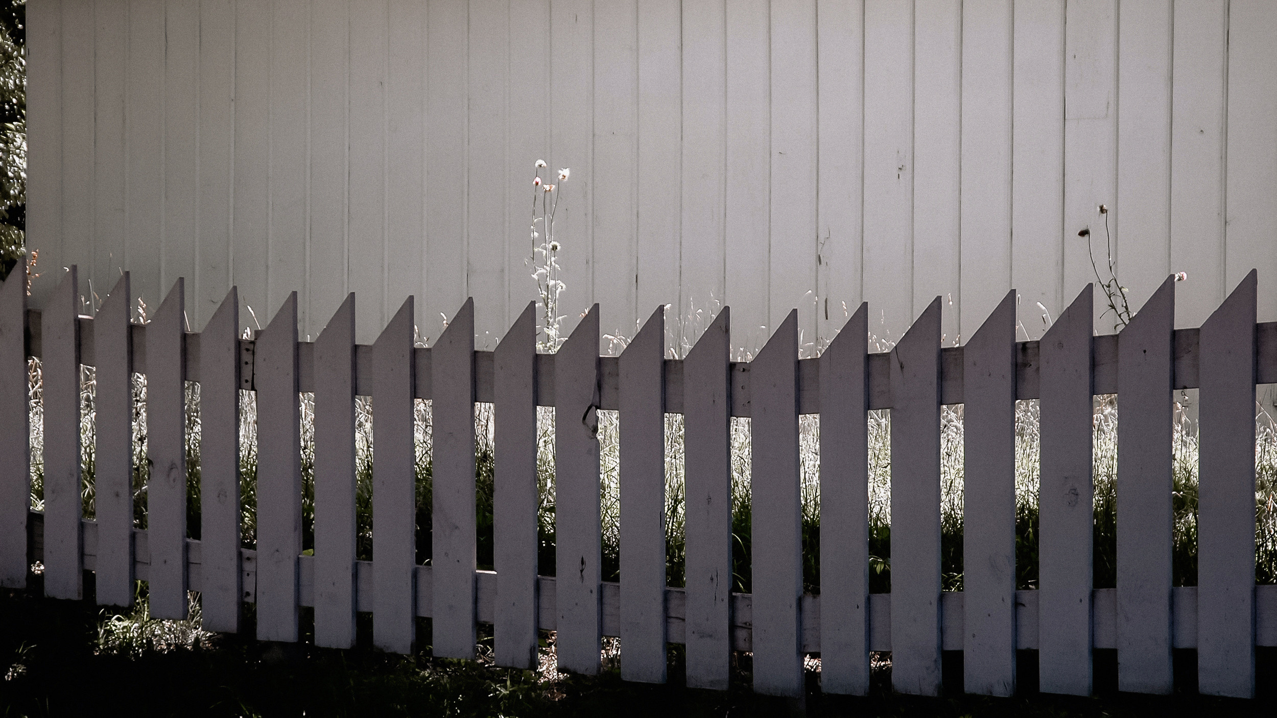 America. ХРОНИКИ ХРОНОСА