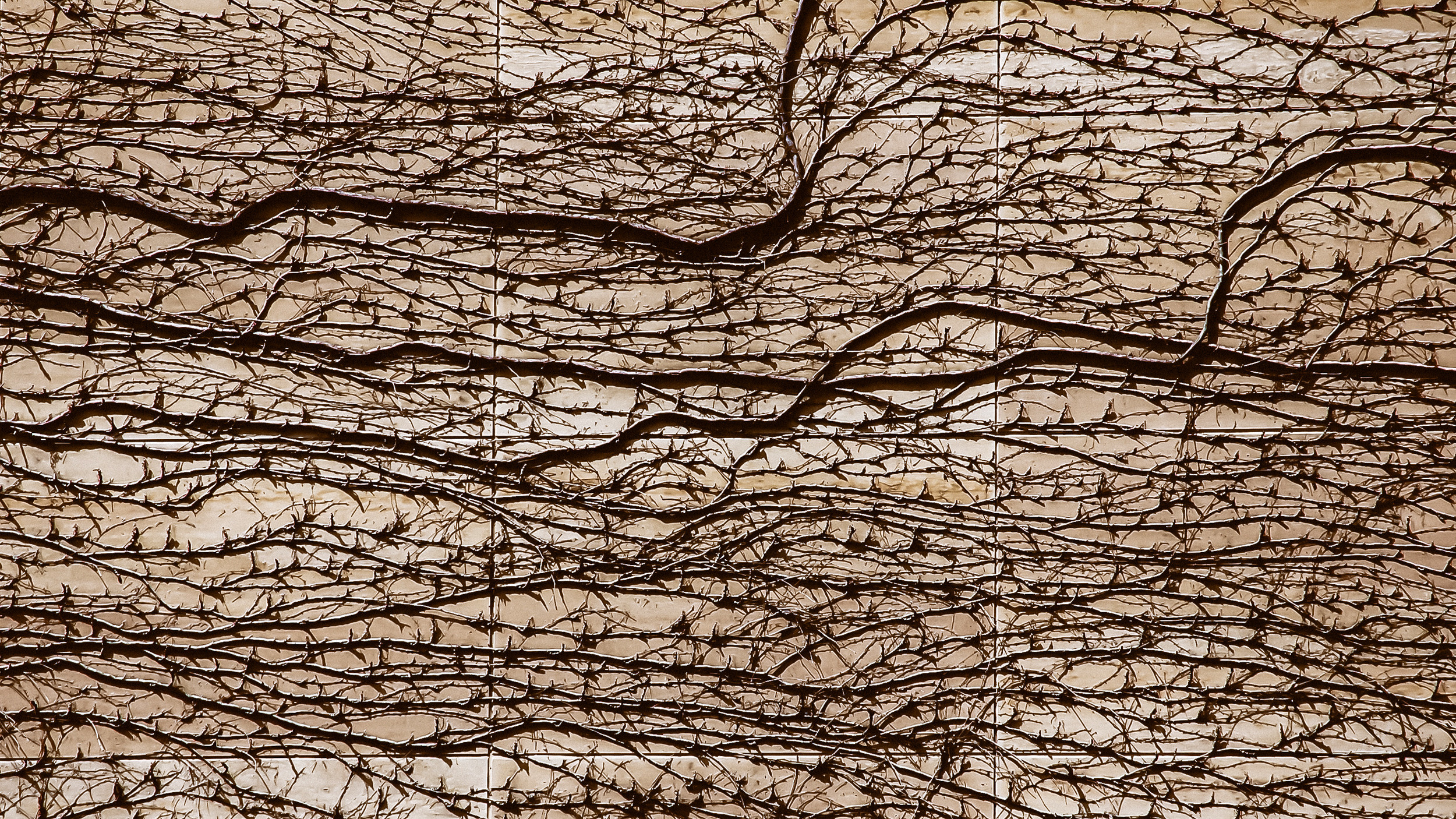 America. ХРОНИКИ ХРОНОСА