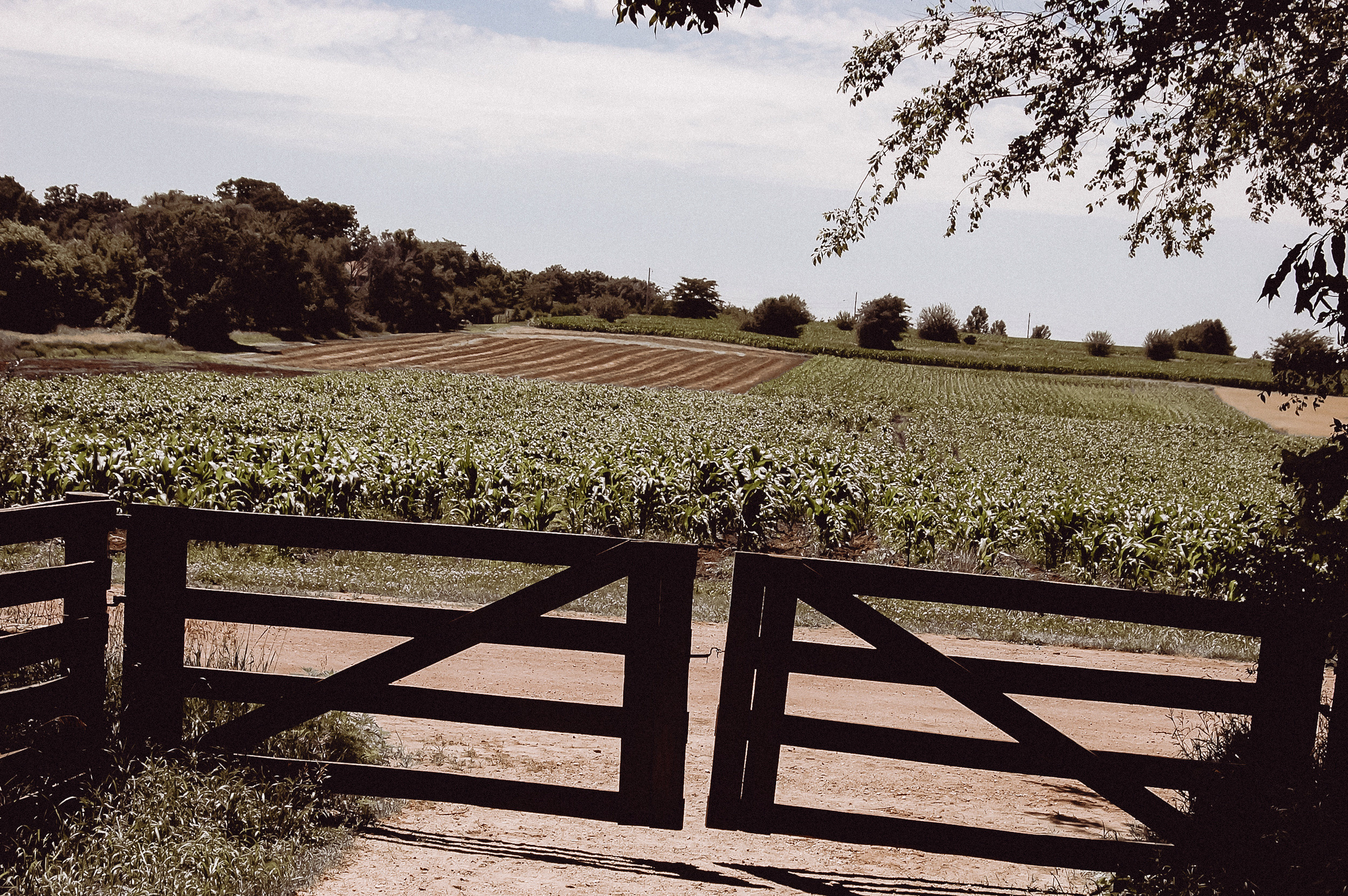 America. ХРОНИКИ ХРОНОСА