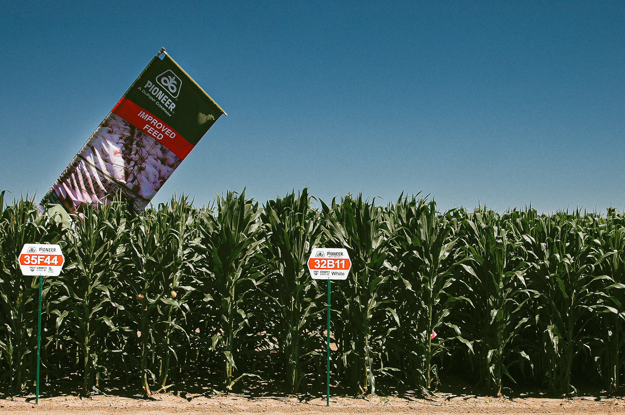 America. ХРОНИКИ ХРОНОСА