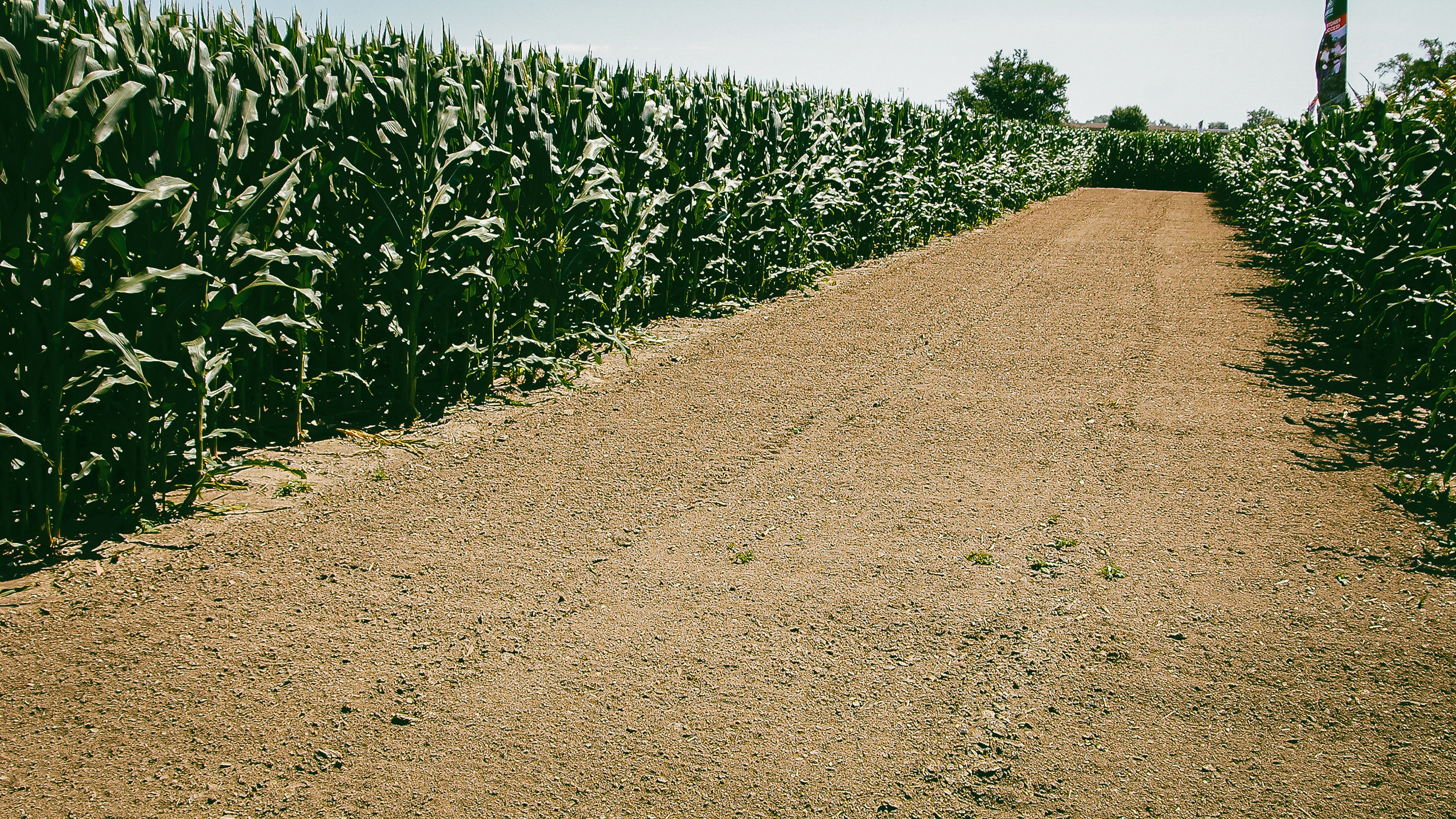 America. ХРОНИКИ ХРОНОСА