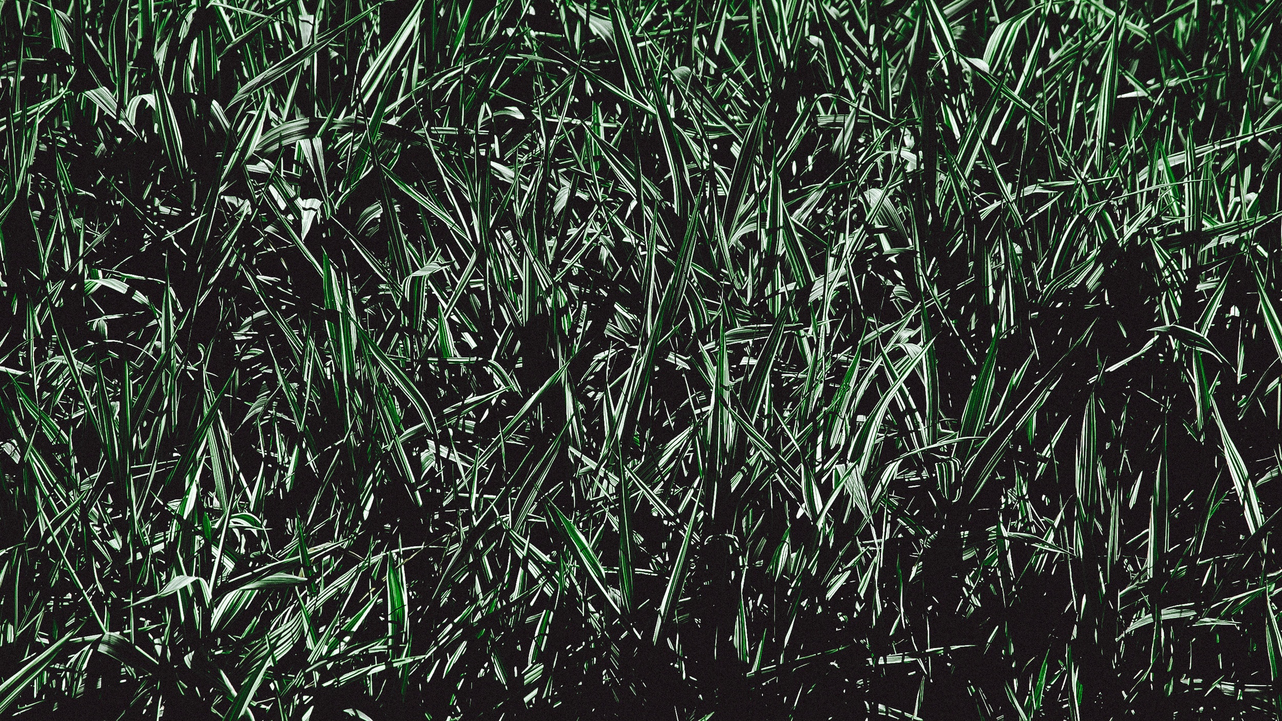 America. ХРОНИКИ ХРОНОСА