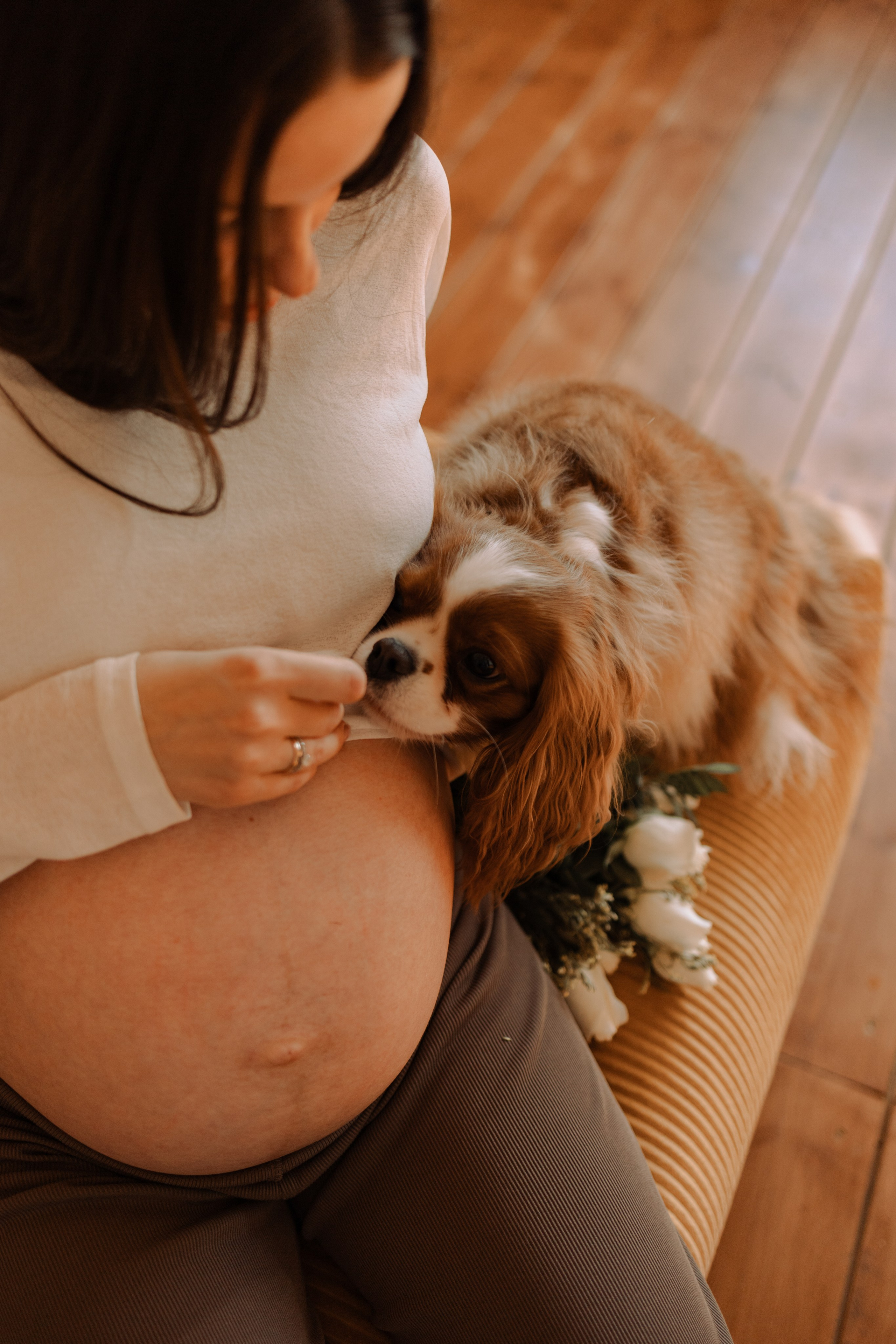 Шерри и ее семья. Фотограф — Анималист | Санкт-Петербург