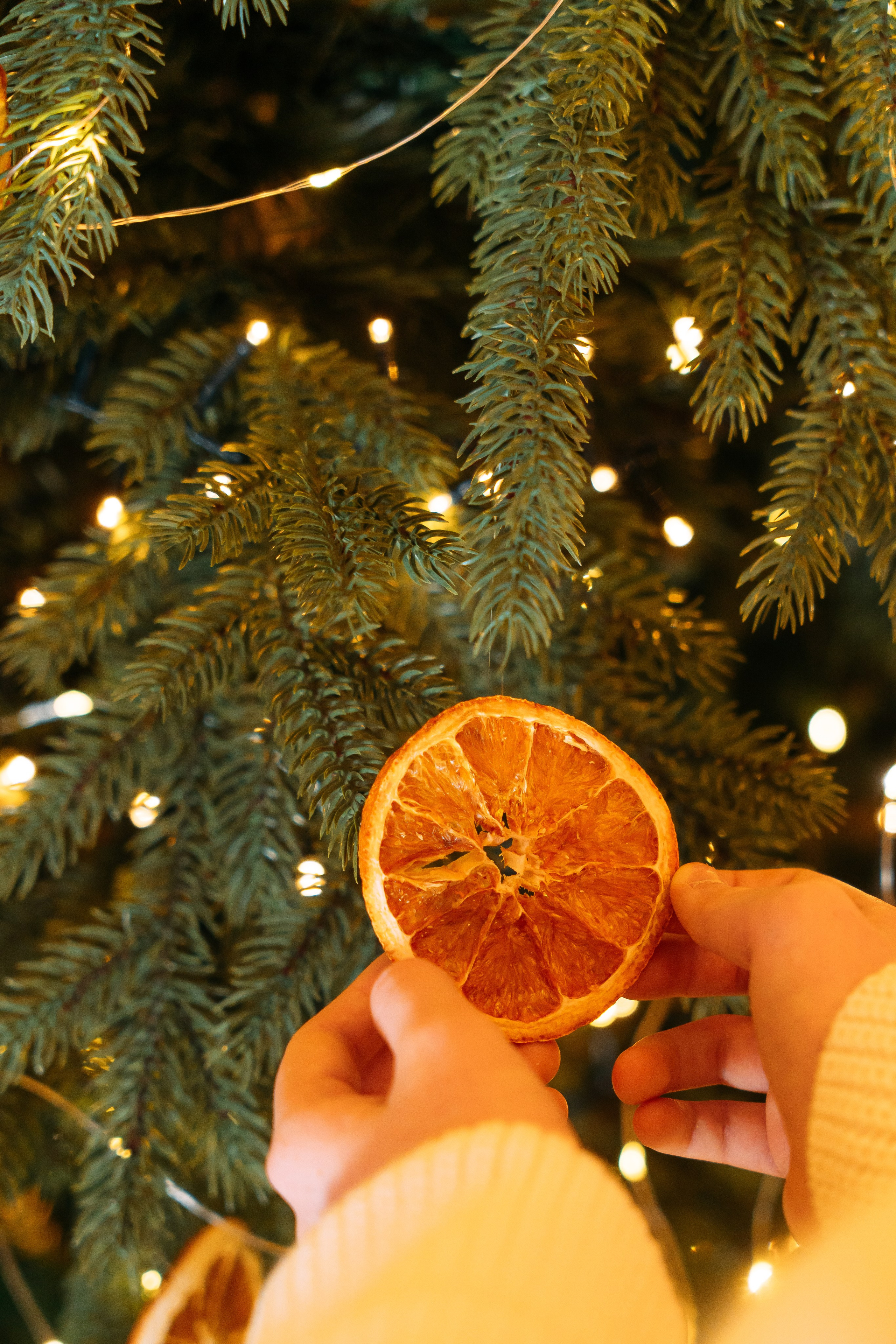 Евгения и дочки. СВАДЕБНЫЙ ФОТОГРАФ КРАСНОЯРСК