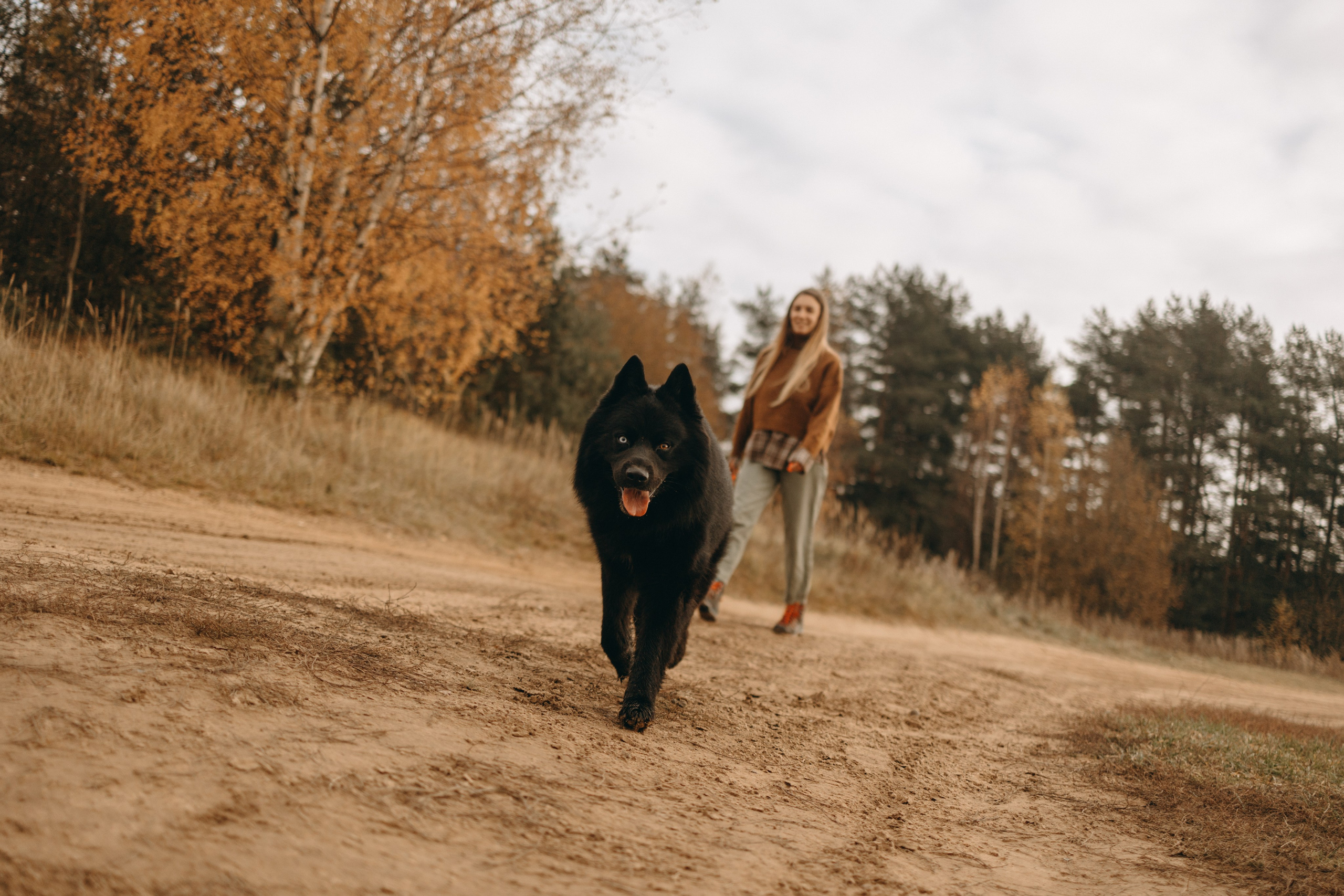 Лора и Джанго. Фотограф — Анималист | Санкт-Петербург