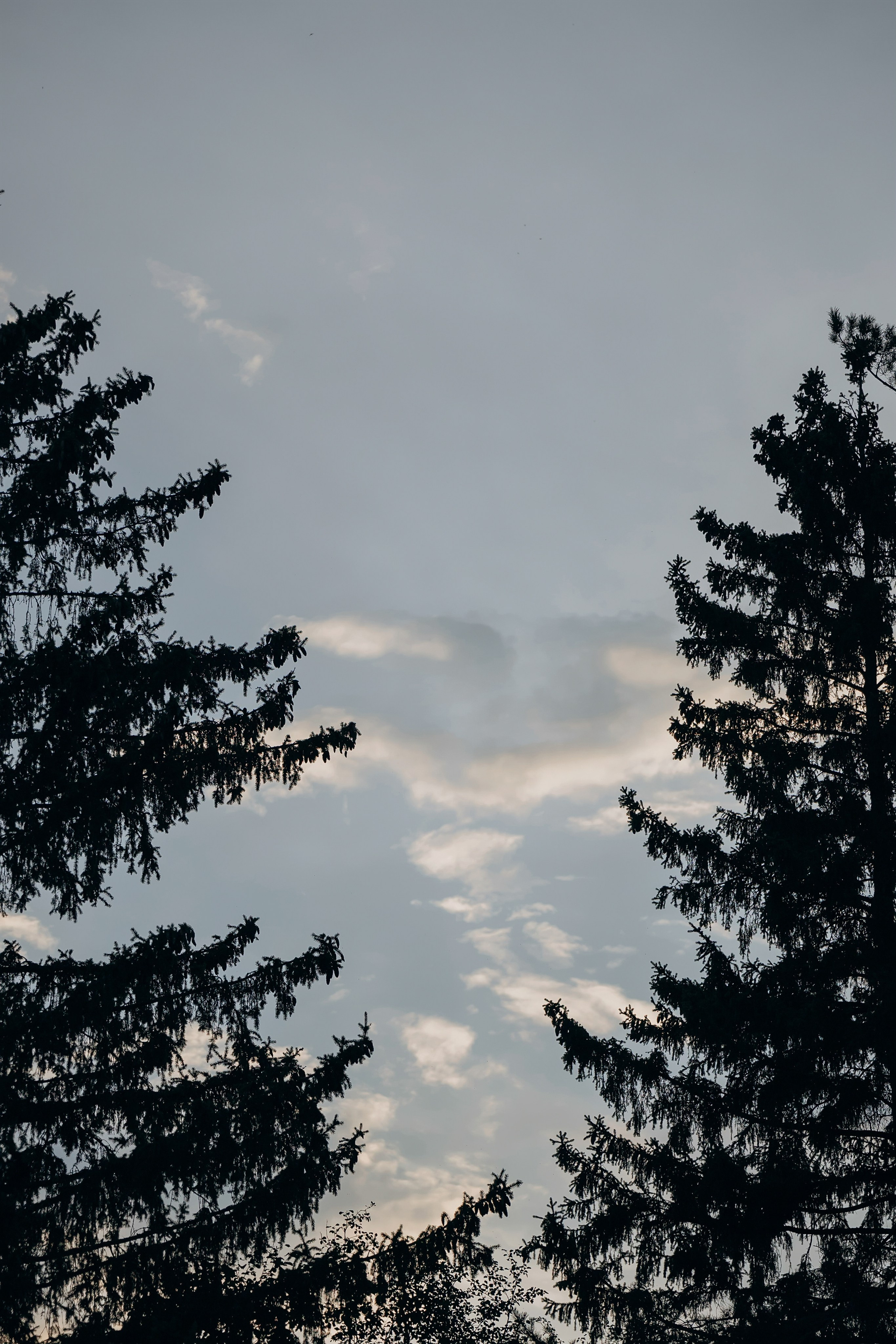 Оля & Дима. Фотограф Алина Любимова г. Пермь