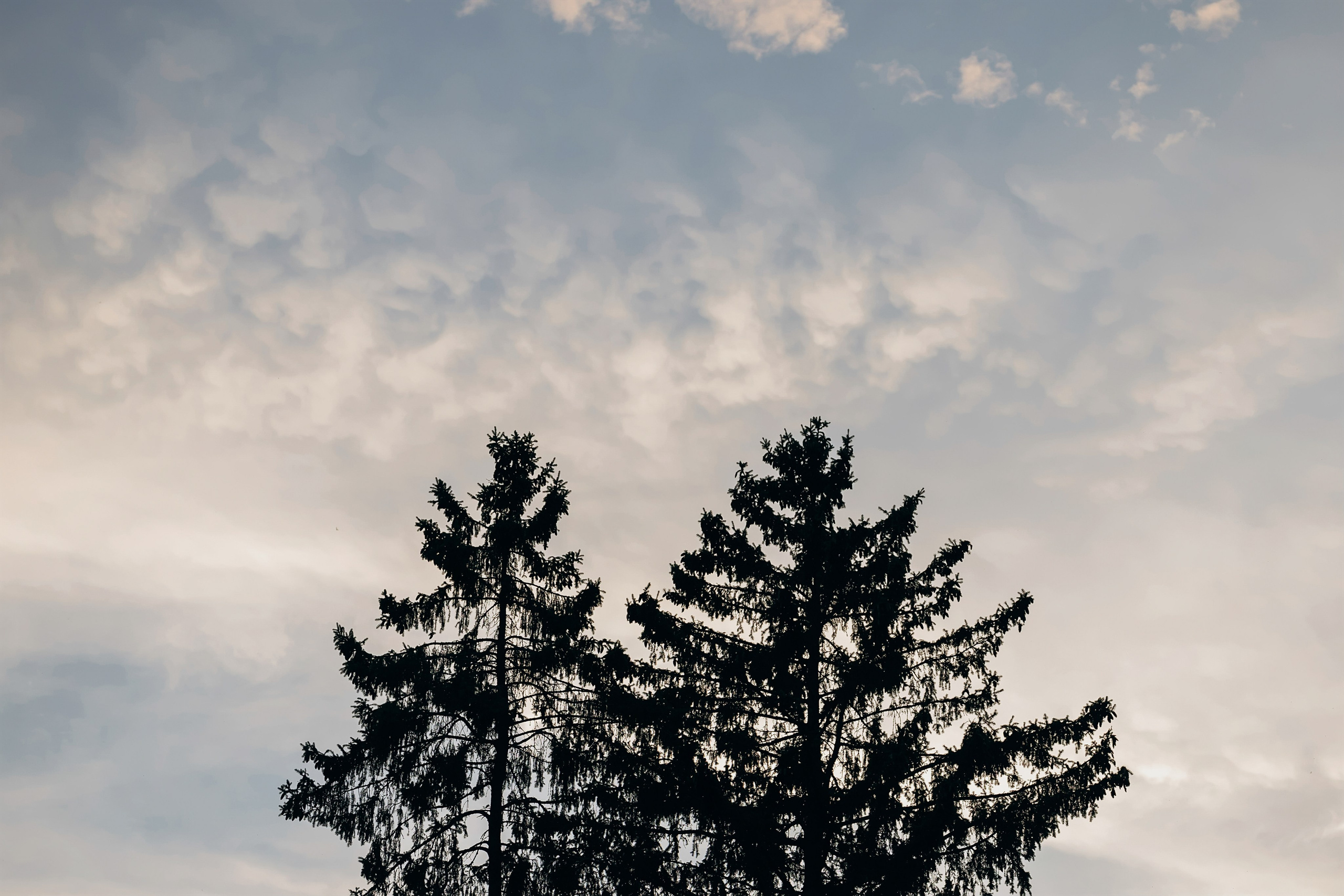 Оля & Дима. Фотограф Алина Любимова г. Пермь