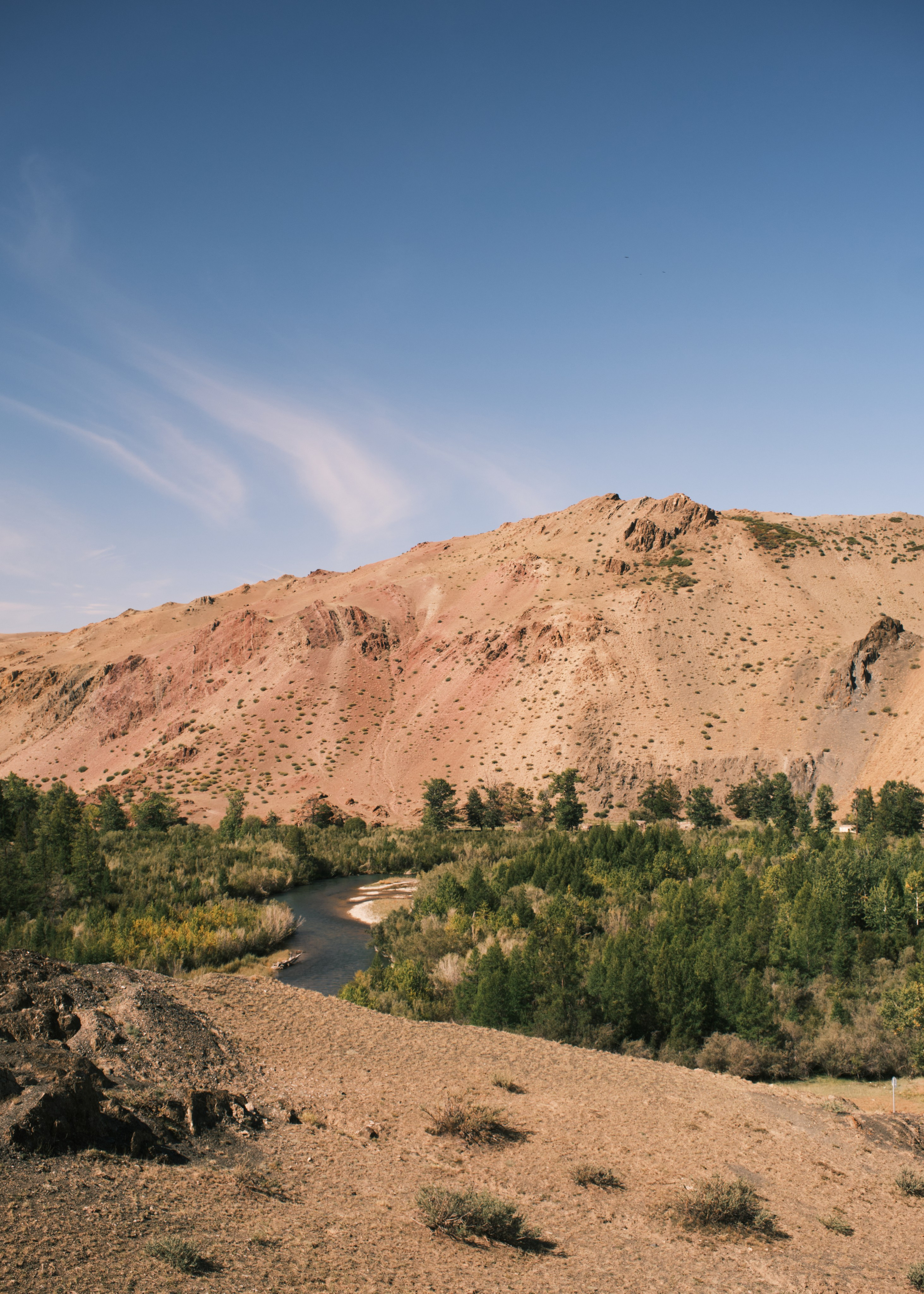 Природа. Антон Ив