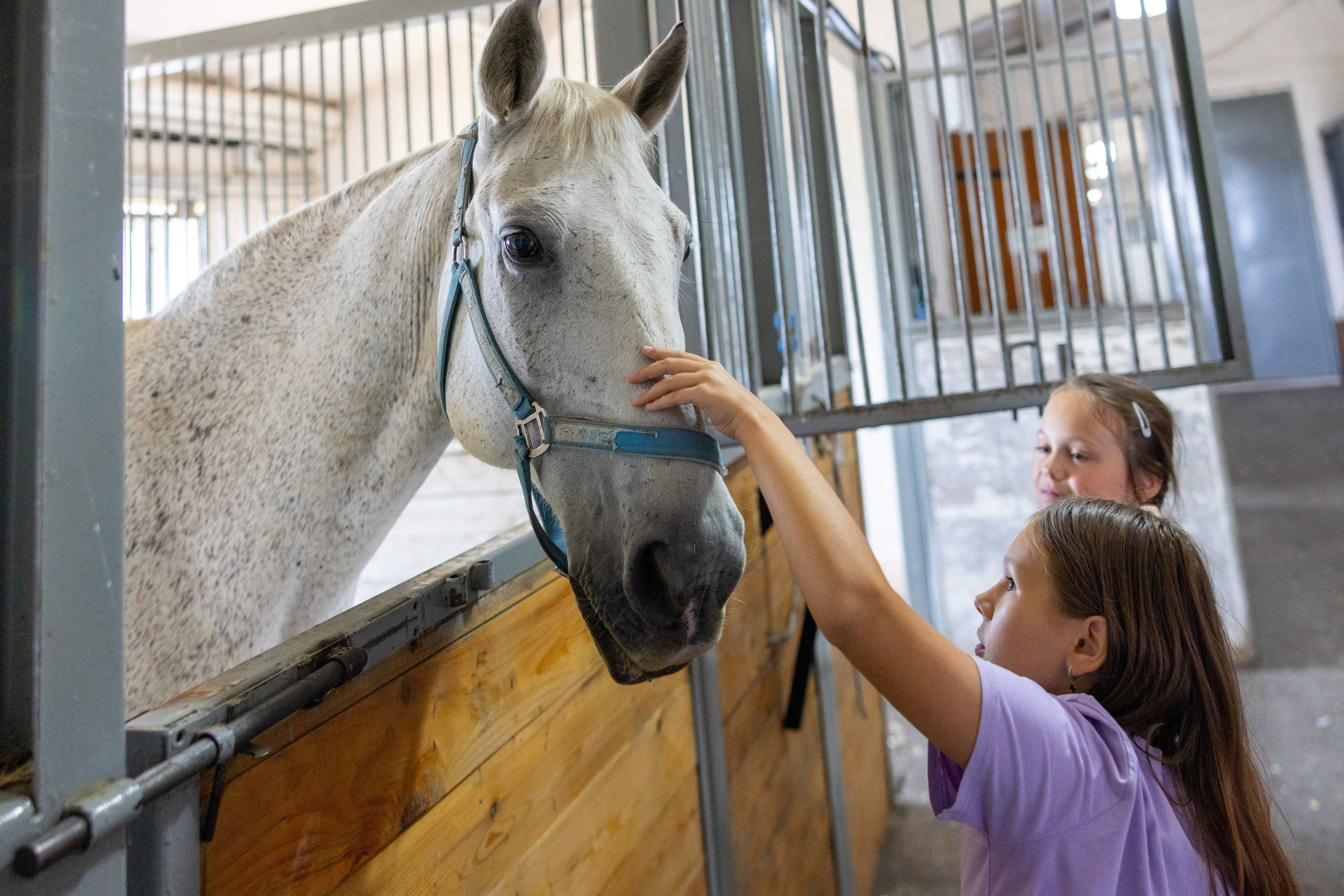 Поездка на поле Кулеково. Фотограф в Туле Крупский АнДРей. Фотостудия «КАДР71» в Туле