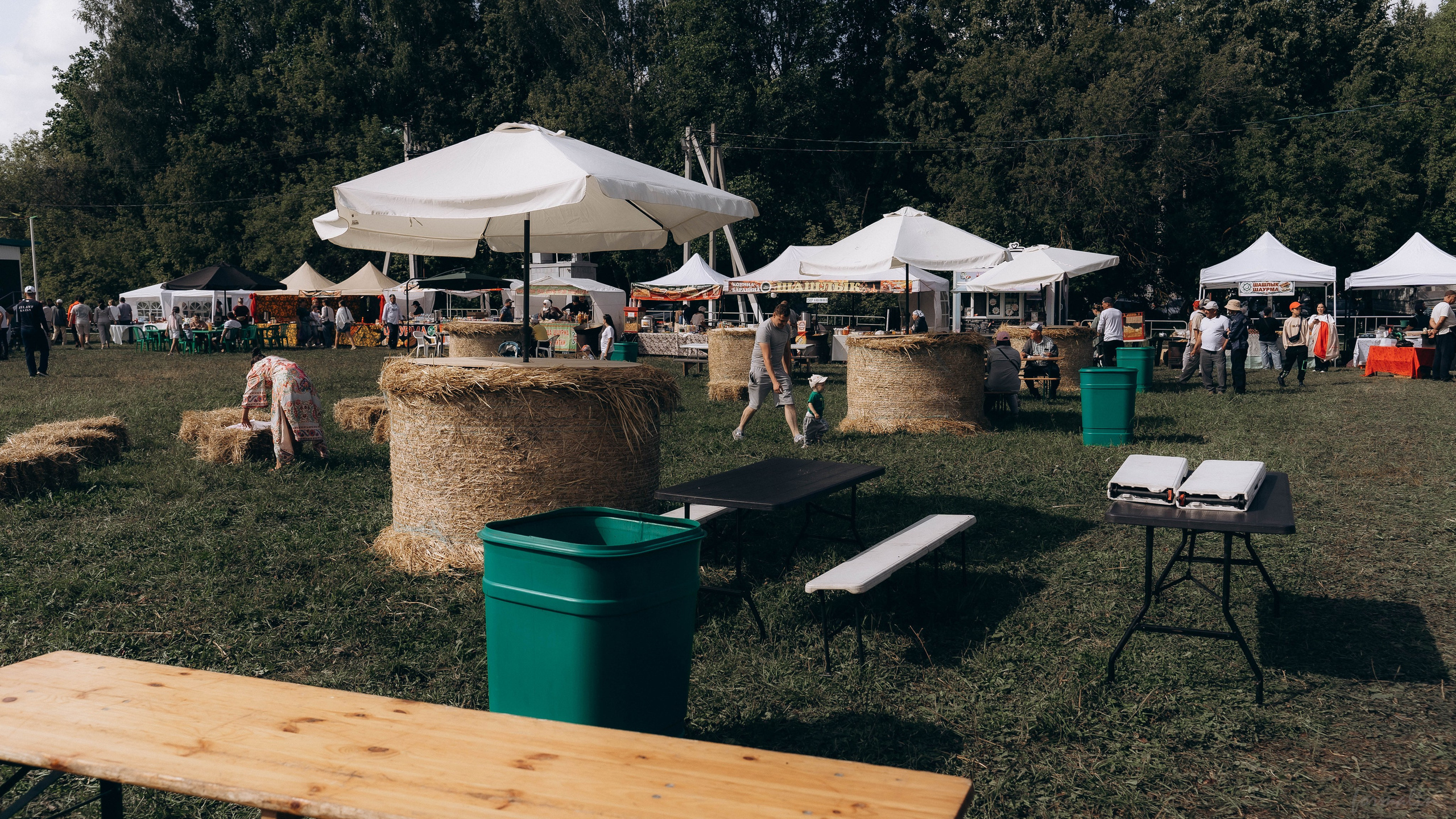 День Коня. Алиса Никитцова | Фотограф в Казани