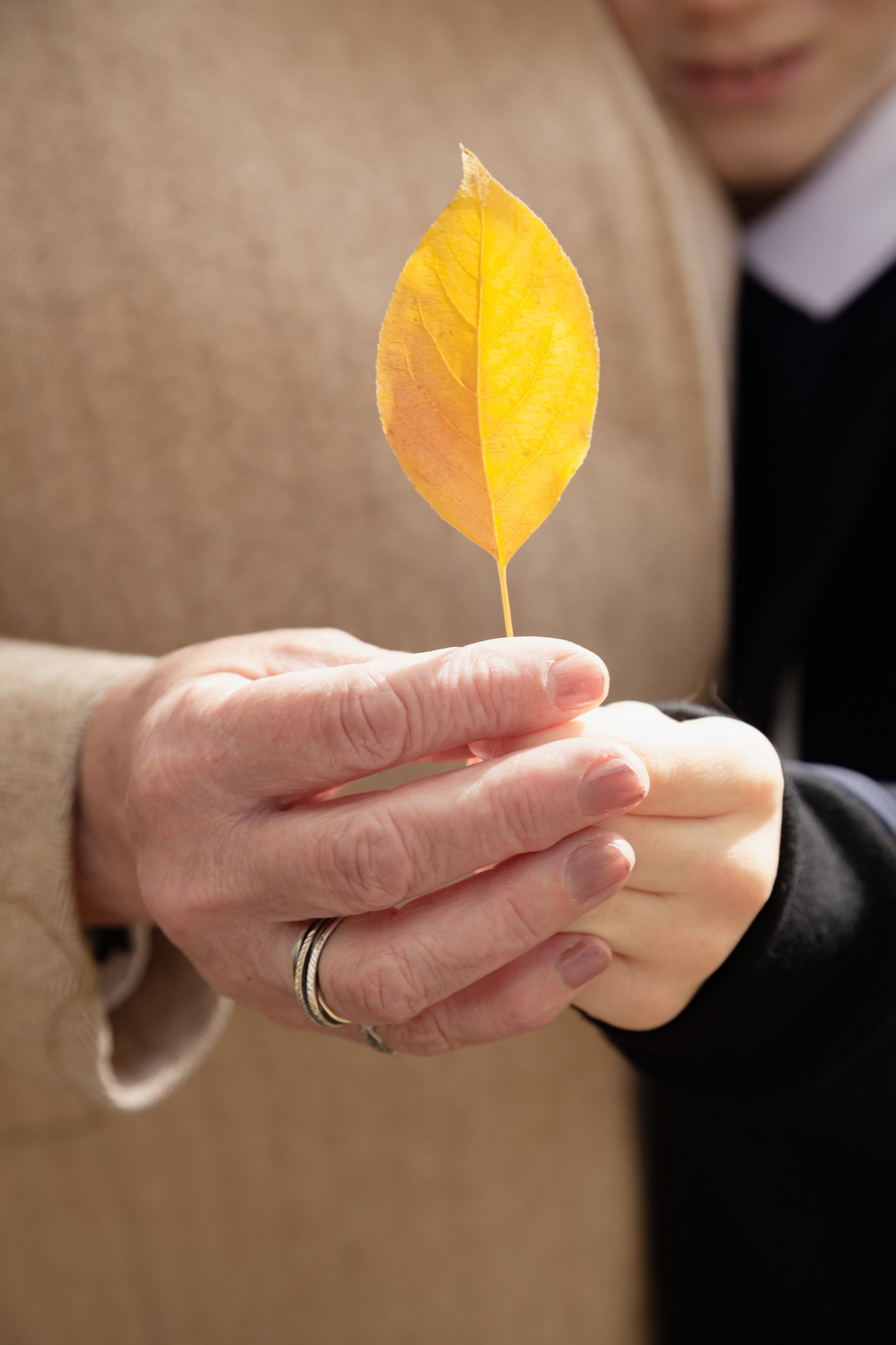 Мадам Осень. Фотограф в Томске Евгения Гуляева