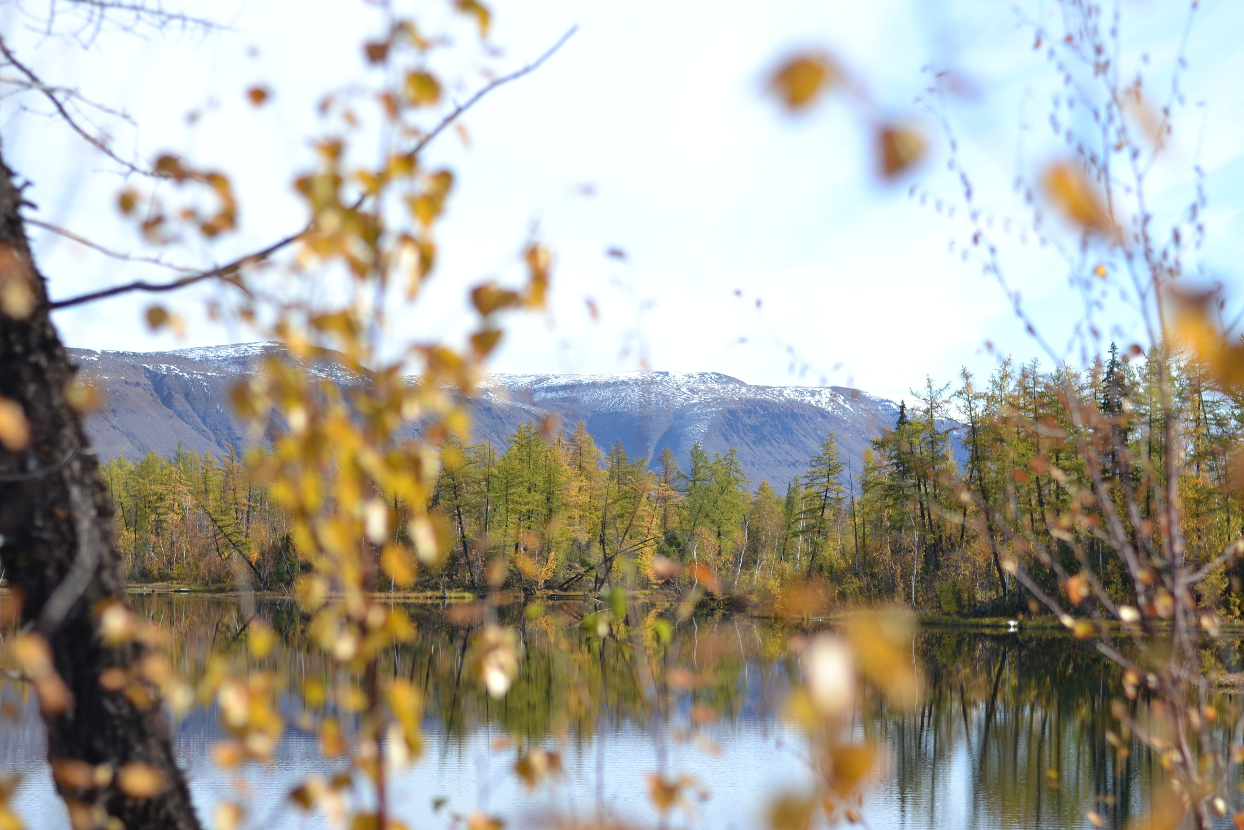Пейзажи. Фотограф Норильск, Москва