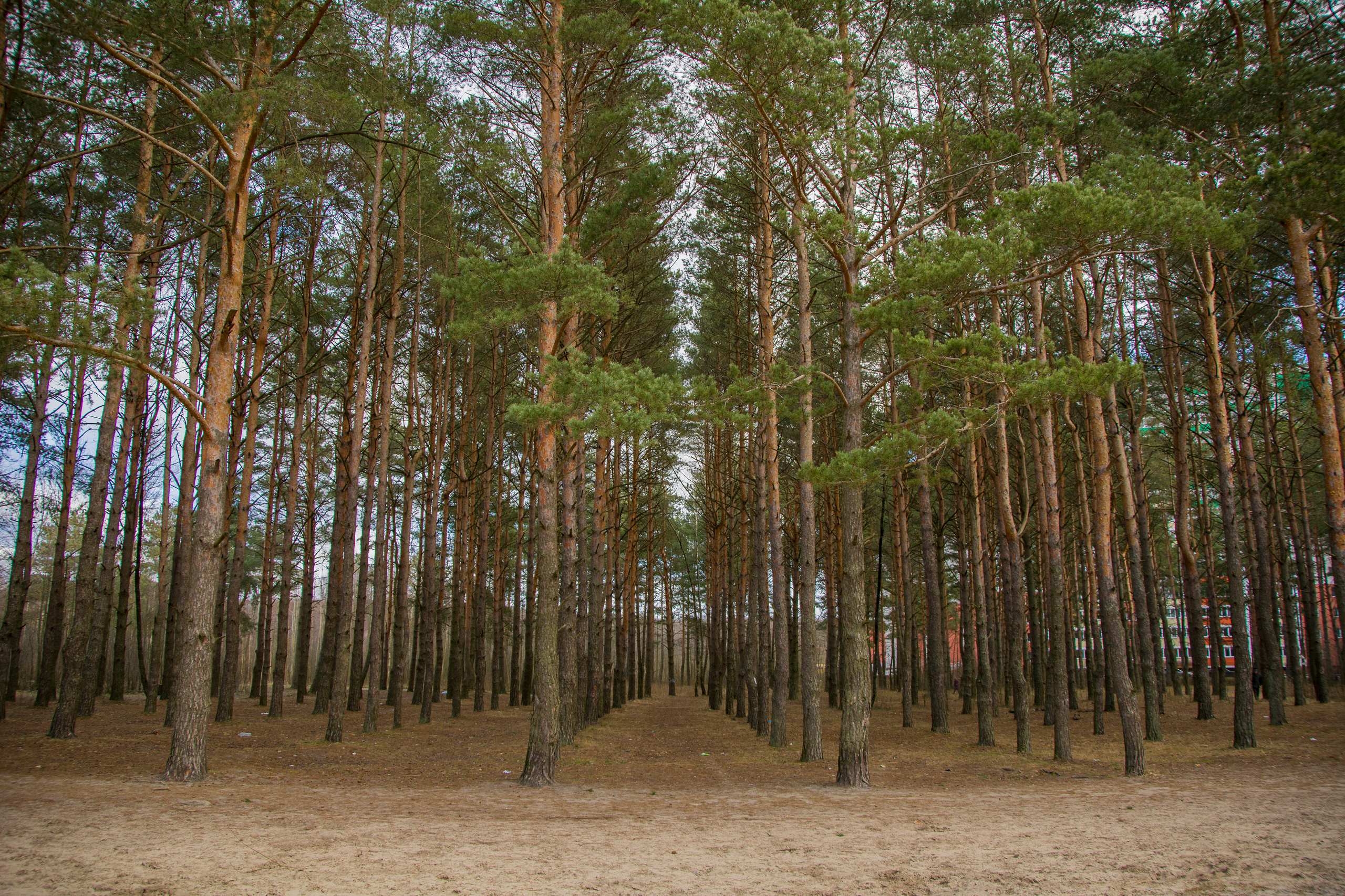 Пейзажи. Фотограф Норильск, Москва