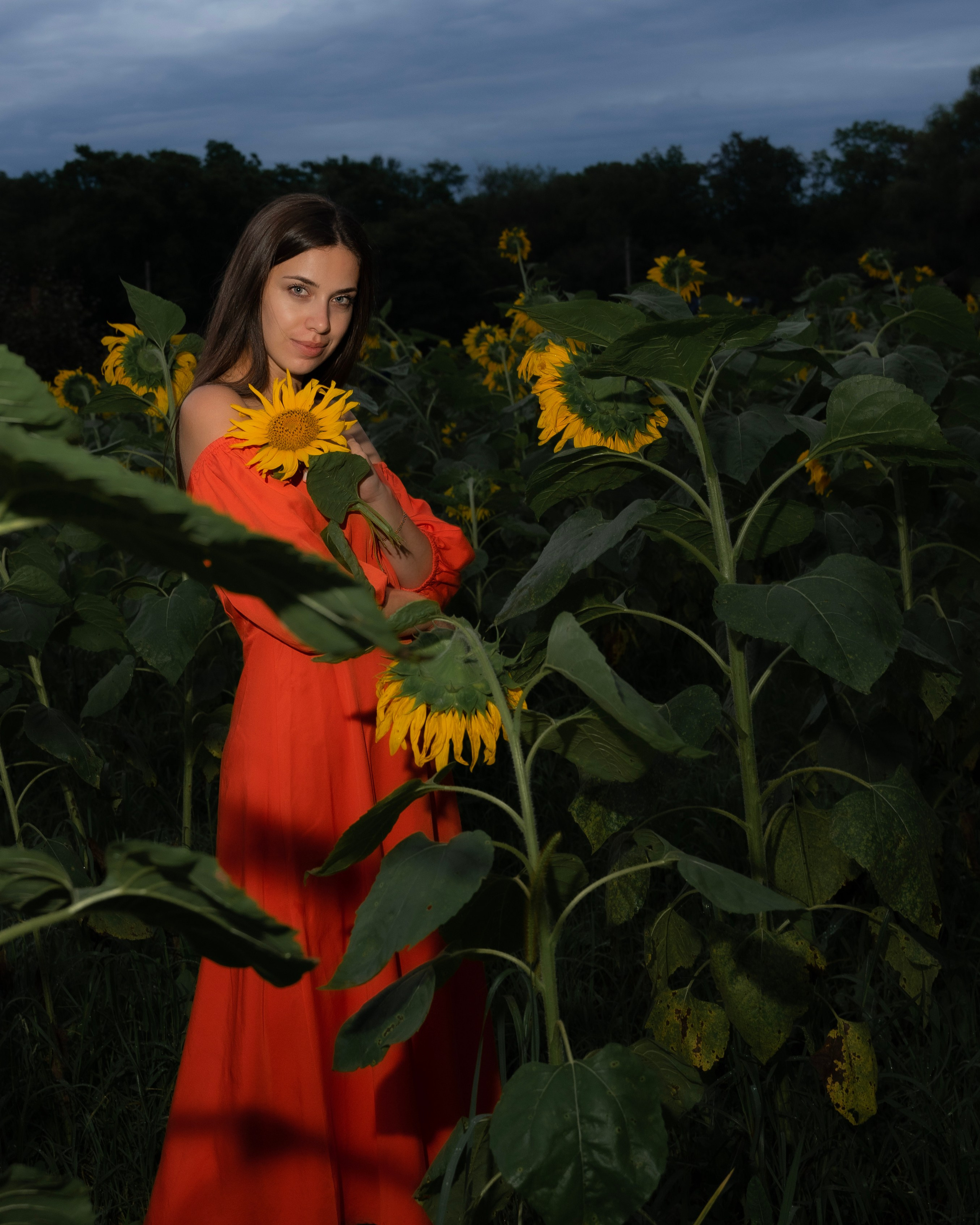 В подсолнухах. Женский, семейный фотограф в г. Уссурийске Марина Гусарова