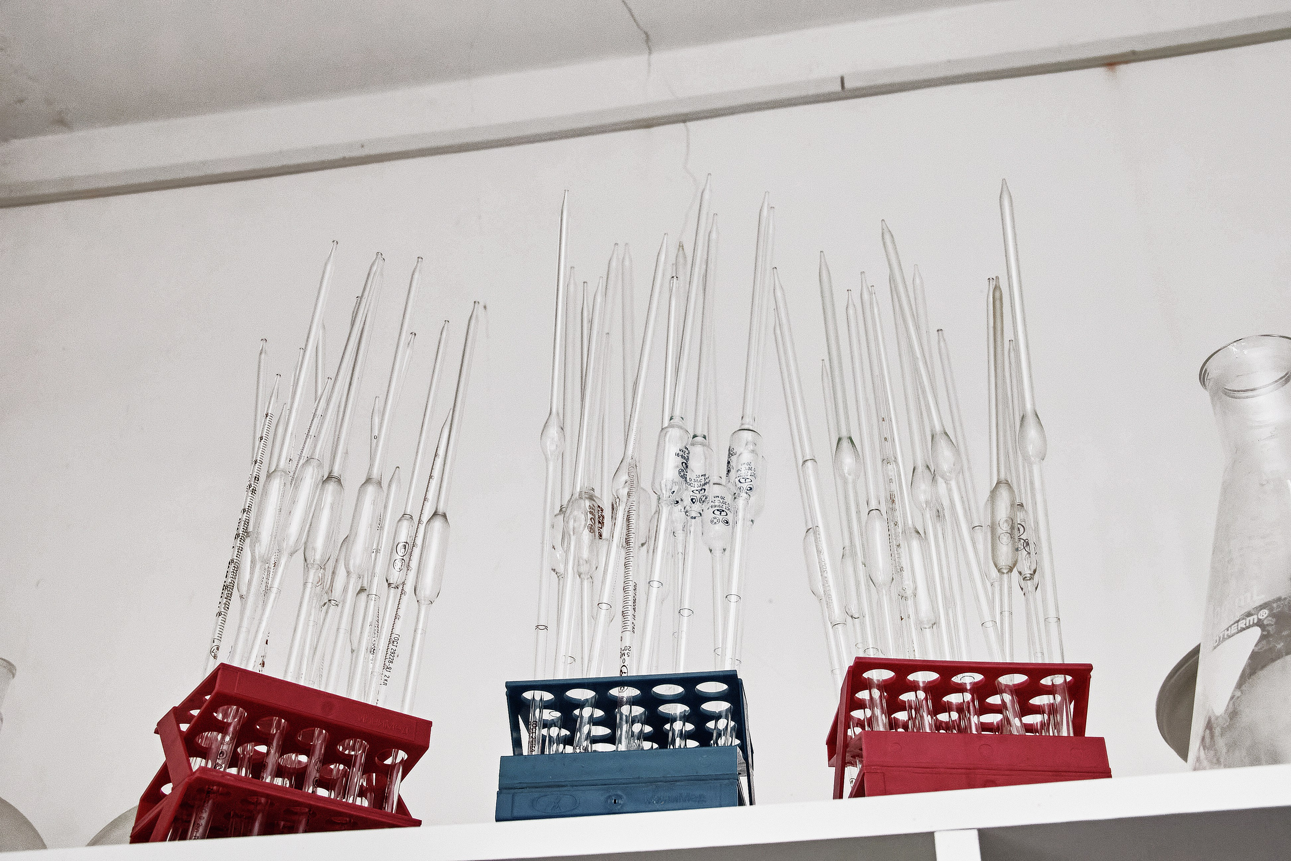 Экскурсия «Агроферма-Катынь». Фотограф в Смоленске Ася Польшина