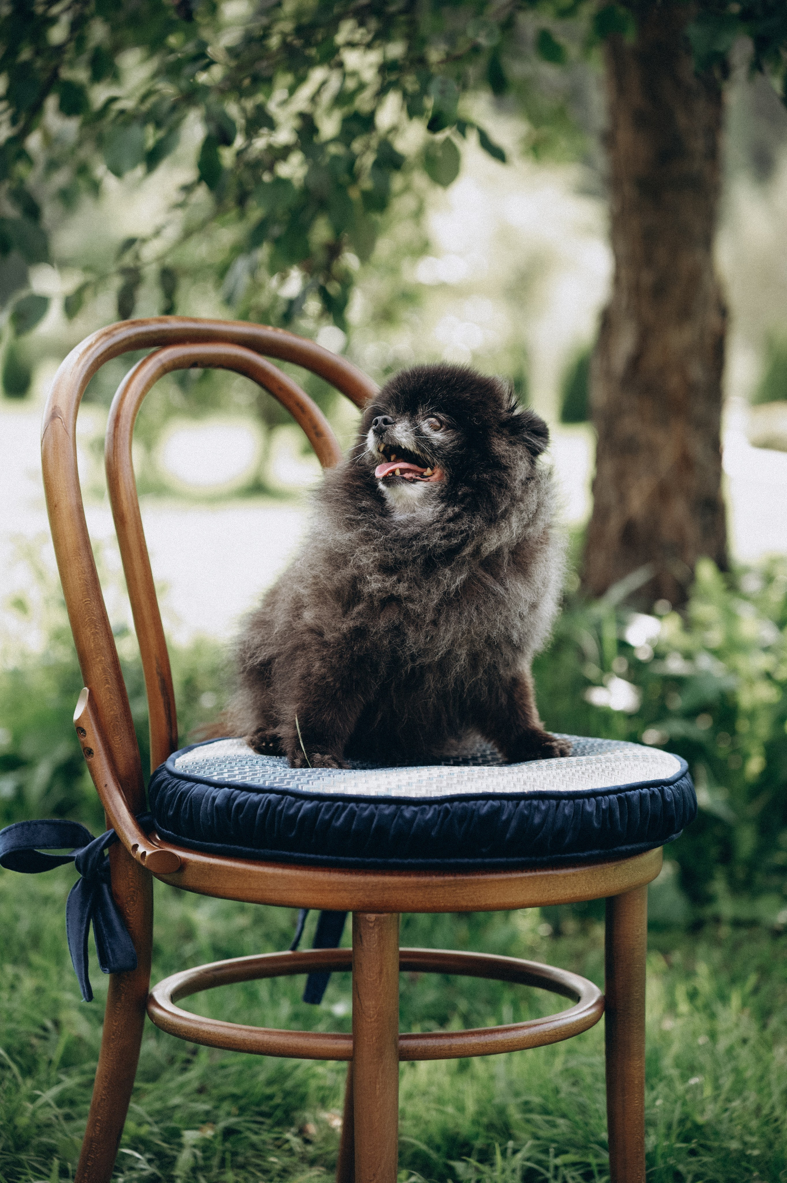 День рождения в летнем саду. Семейный свадебный фотограф Екатеринбург Первоуральск Шарнина Алёна