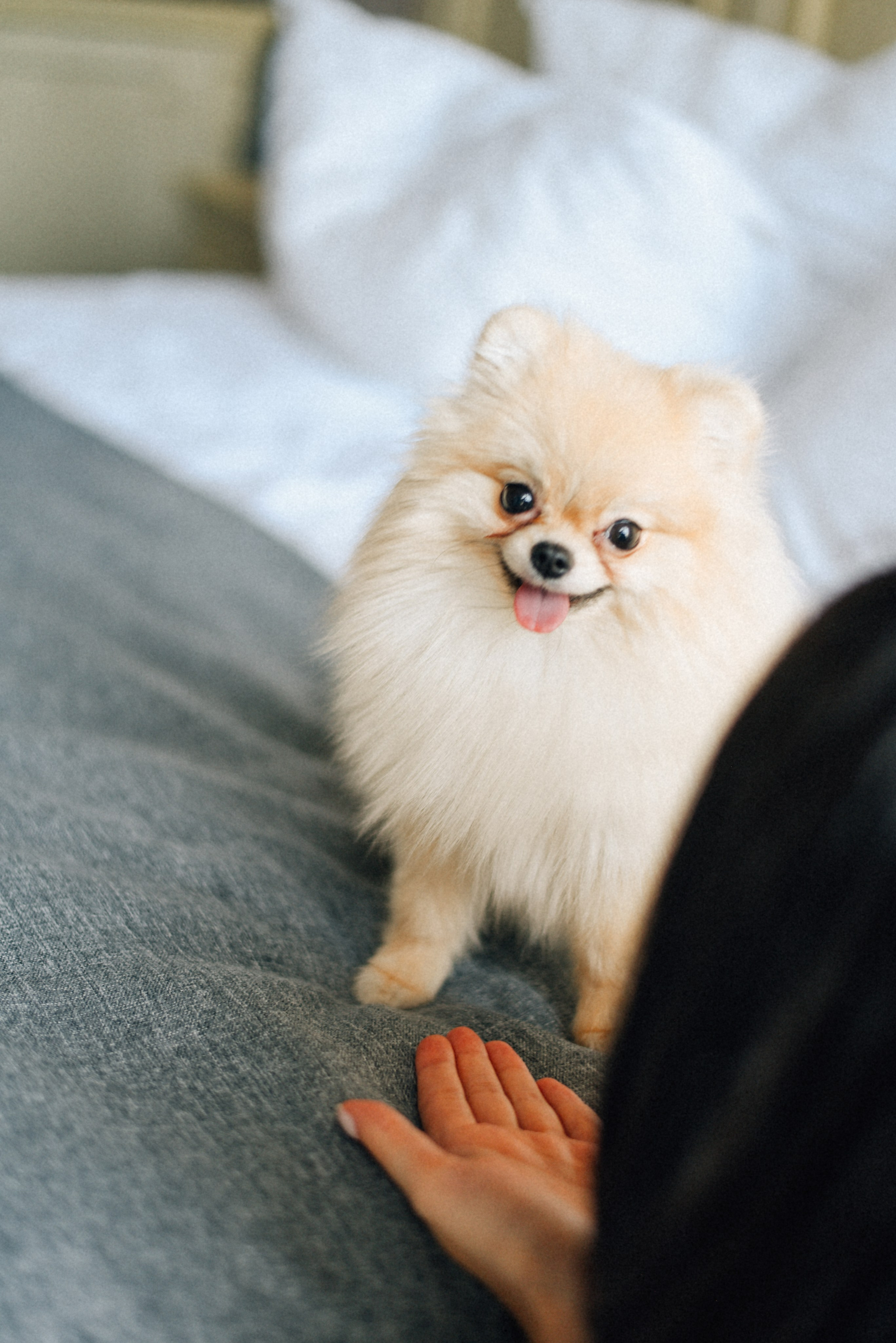 ARBAT HOUSE HOTEL. Фотограф Лола Волна, город Москва