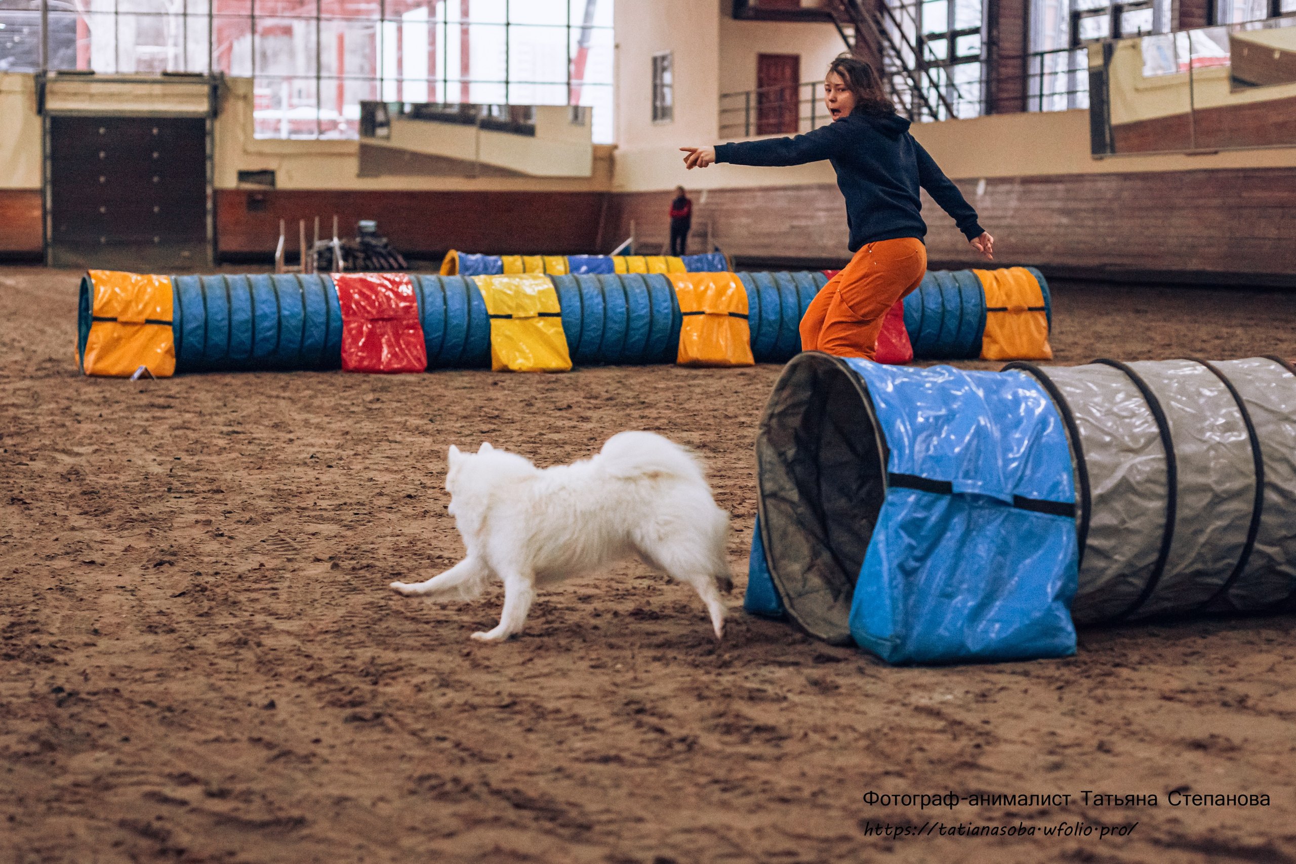Соревнования по Аджилити 25.02.2024. Фотограф-анималист Татьяна Степанова