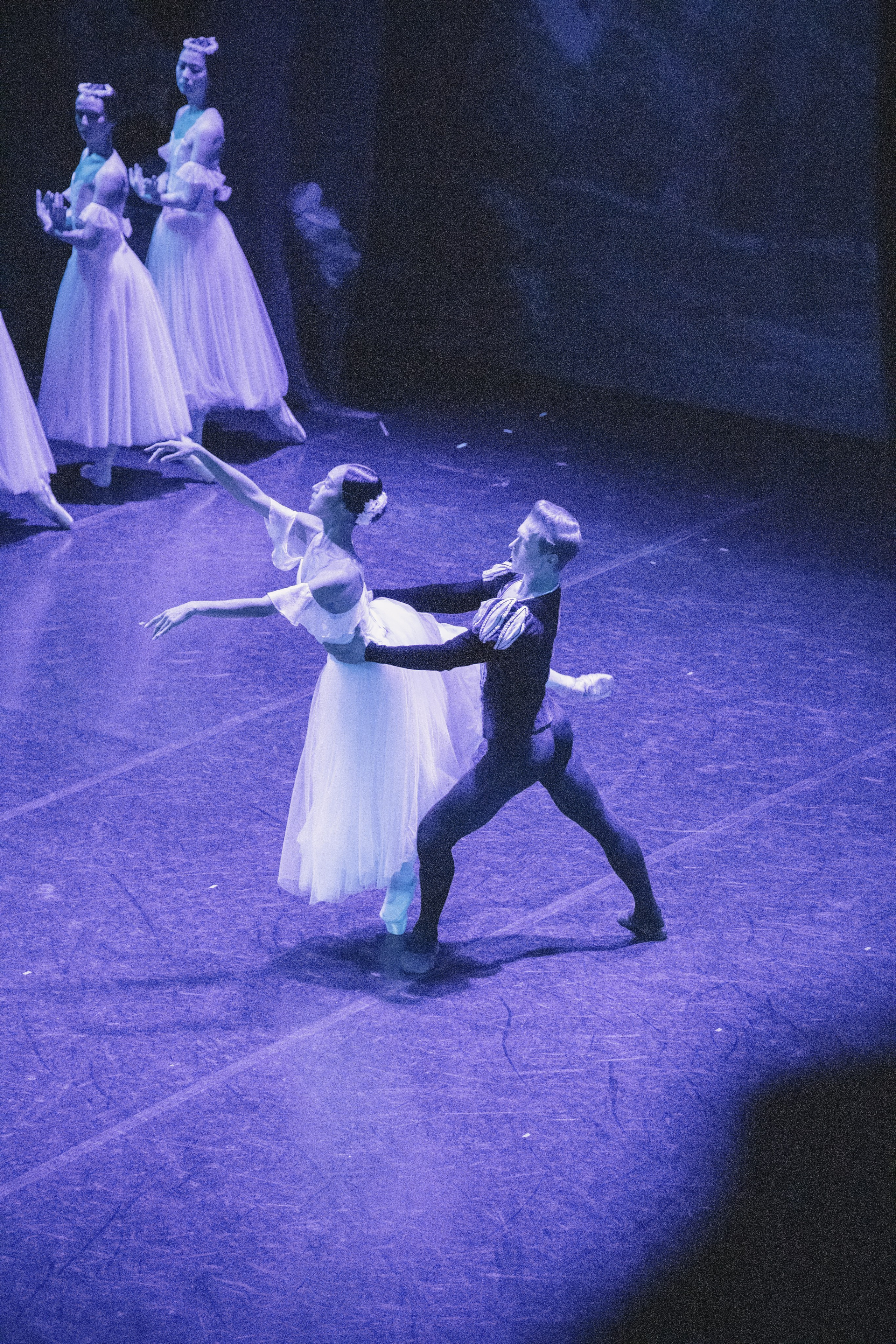 Концерты. Семейный фотограф в Абакане Любовь Халявина