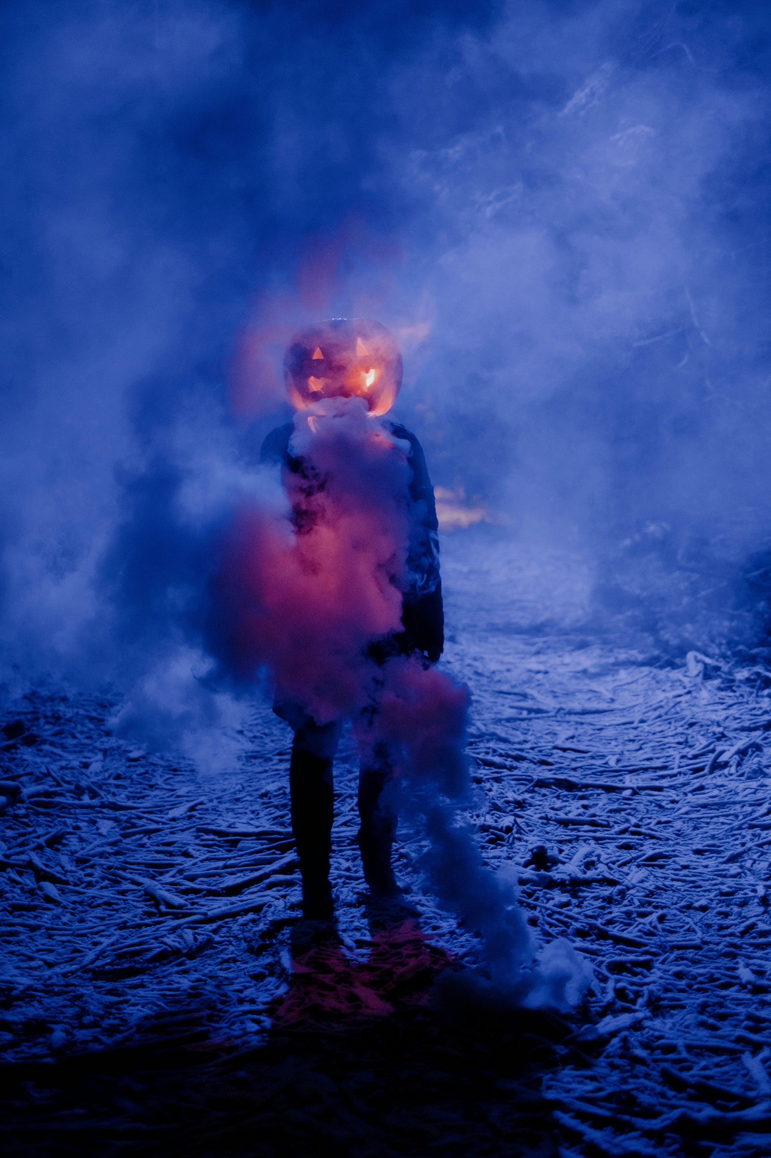 «Избранник тыквенной грядки». Фотограф (Москва, Мытищи)— Комова Анастасия