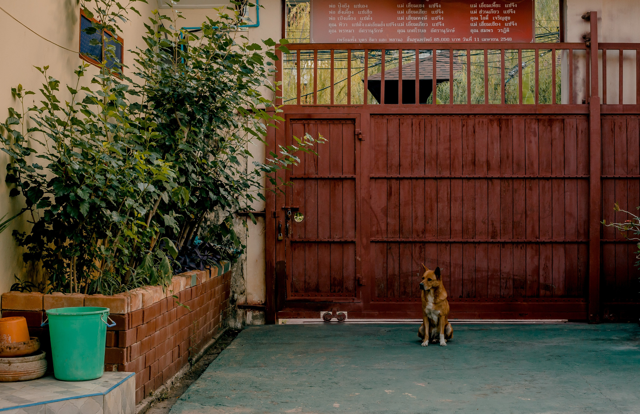 Thailand, Chiang Mai. Art Photographer