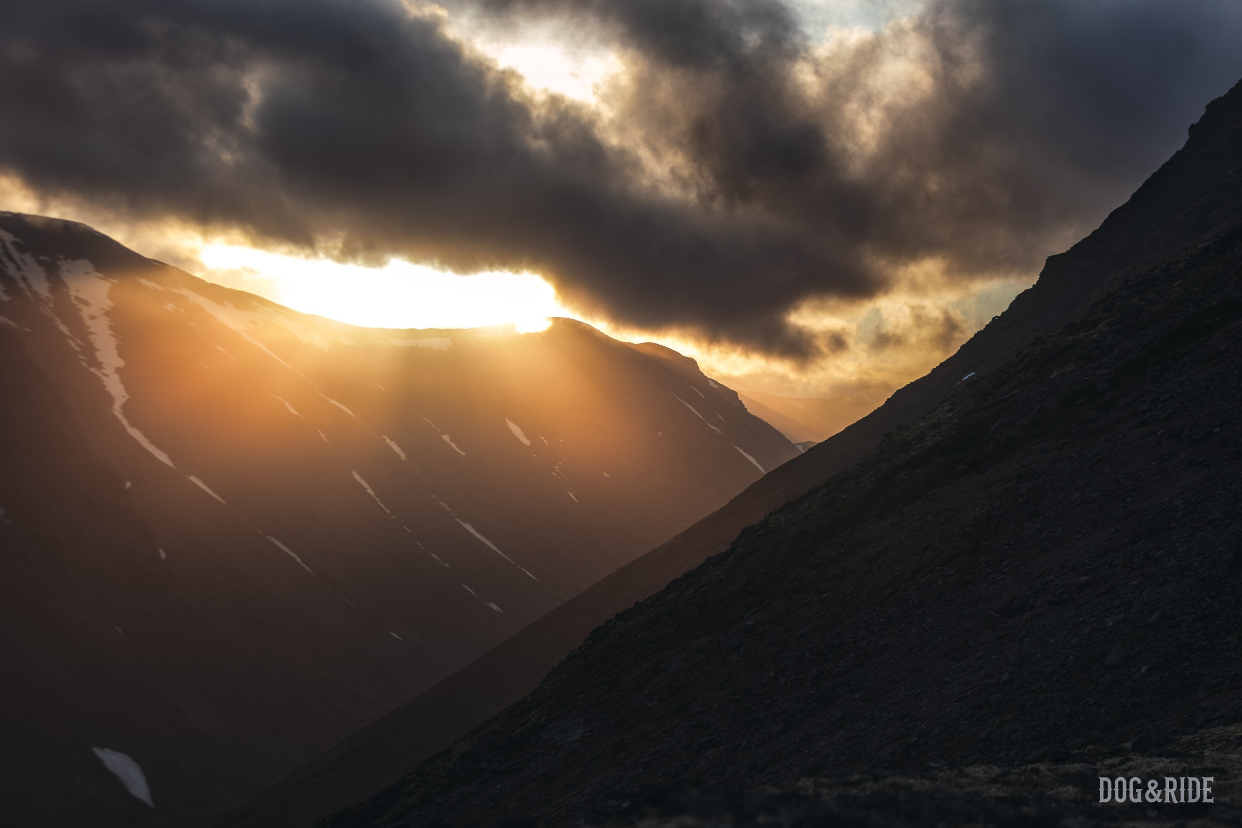 Хибины. Фотограф анималист Никита Натальный