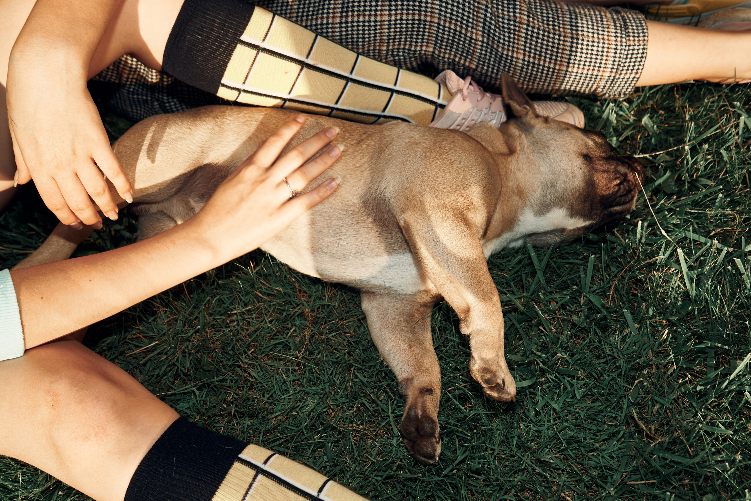 Birthday. Фотограф в Краснодаре Виктория Антонова | photobelka.pro