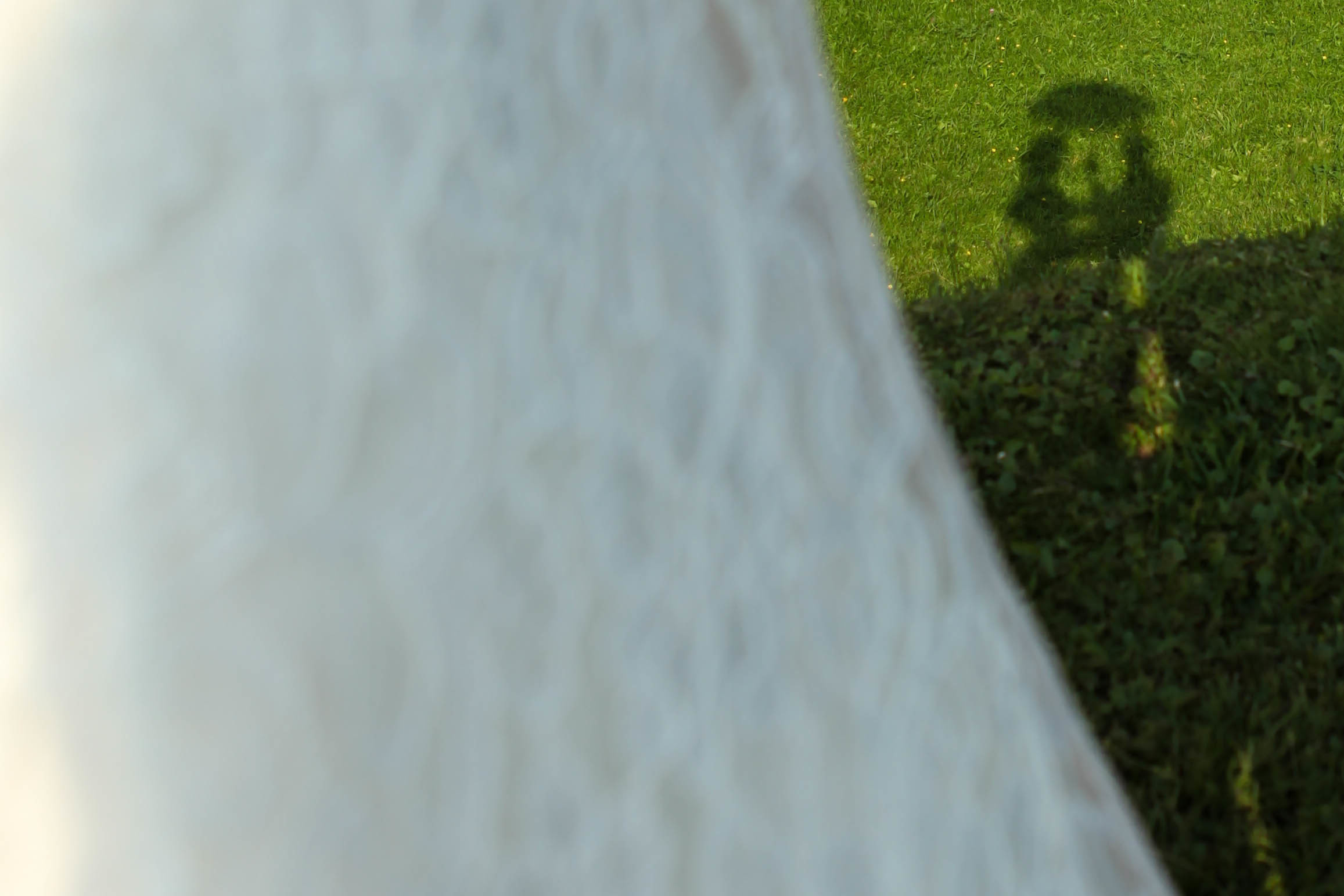 Александр и Александра. Свадебный фотограф Кирьянов Максим. Фотографирую в Москве, Коломне, Со