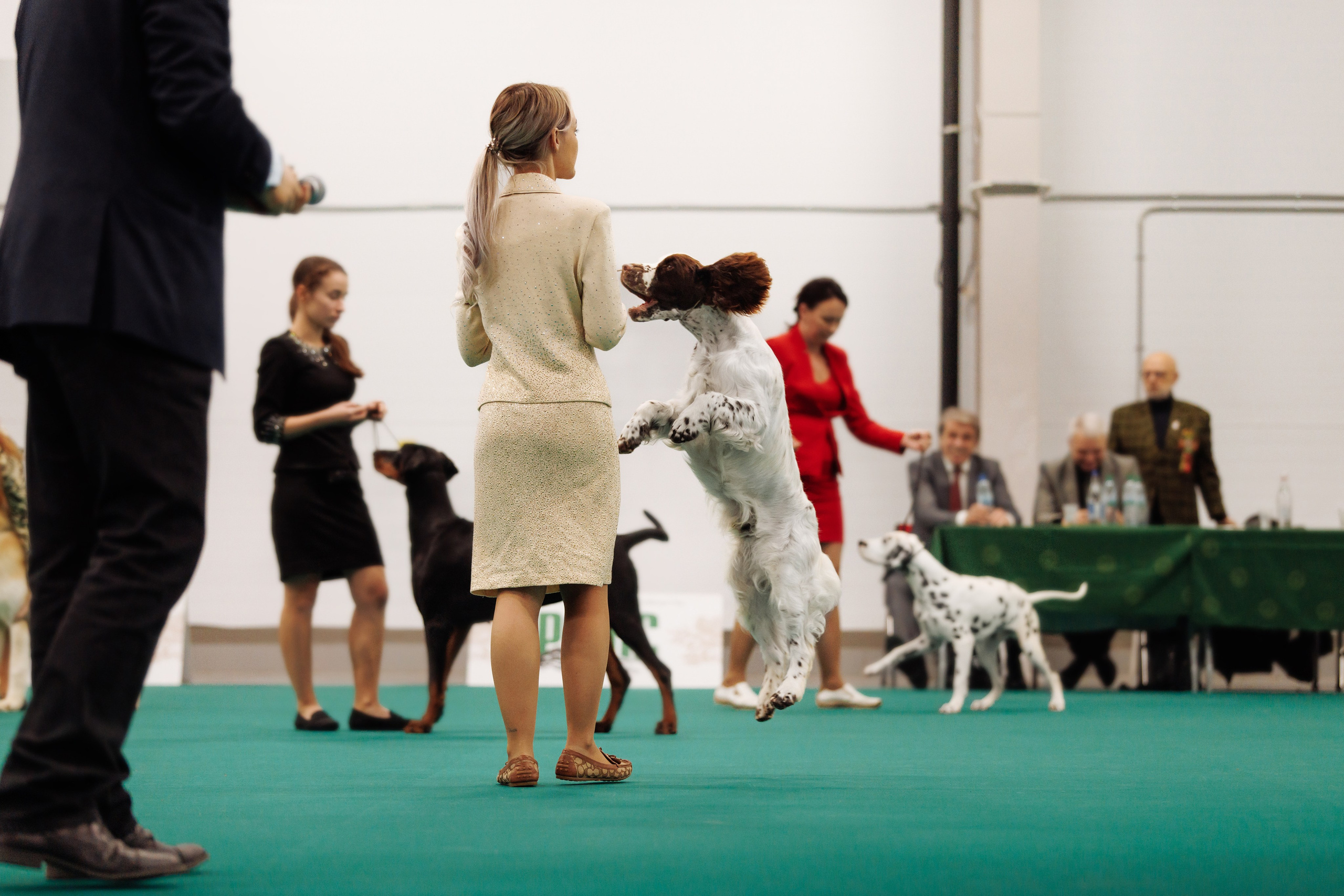 29-30.11.2025 — Казань «Зилант». Фотограф-анималист Саша Вязьмина