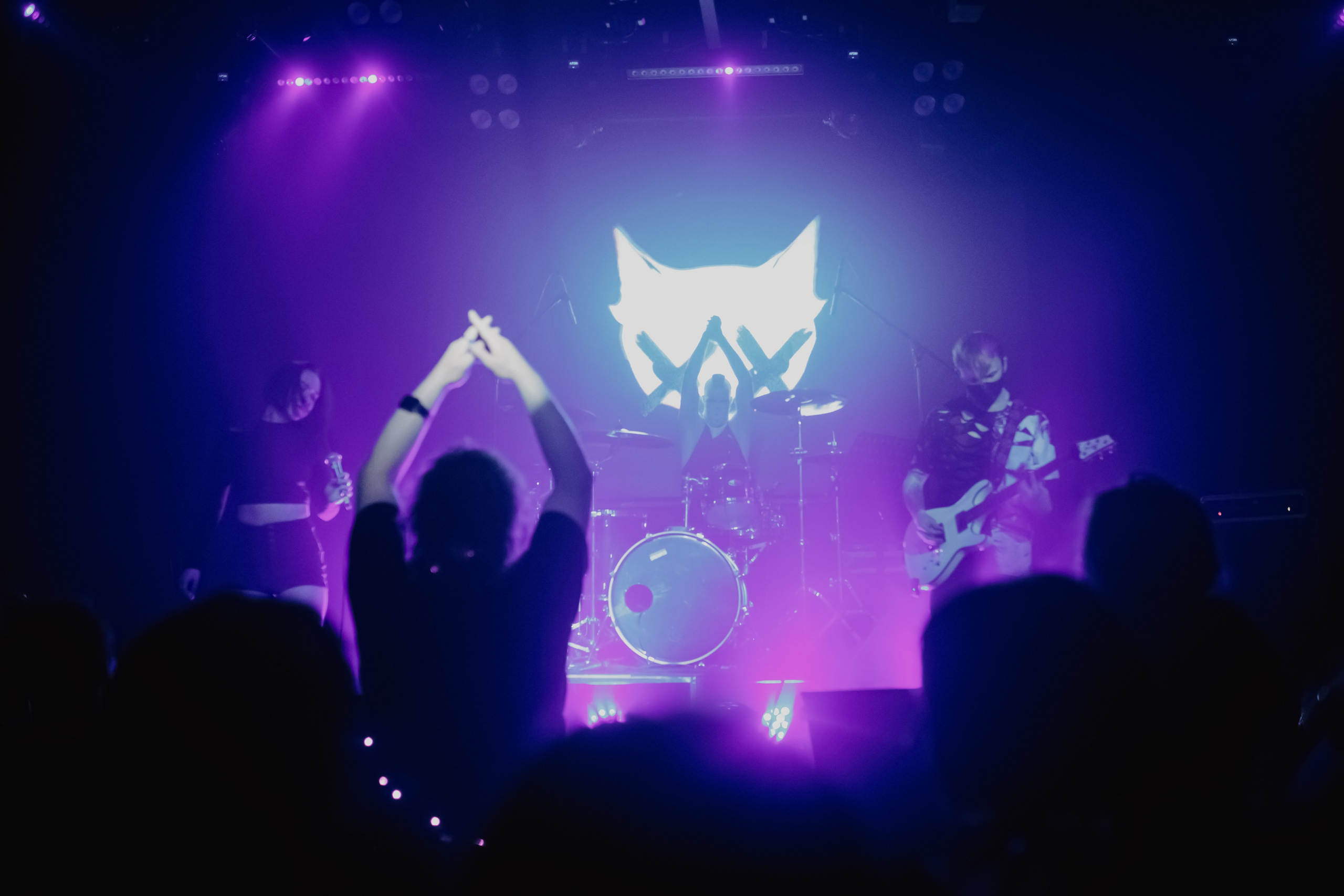 THE KAT IS DEAD. Фотограф Елена Богачева (lenalena_na_na_na)