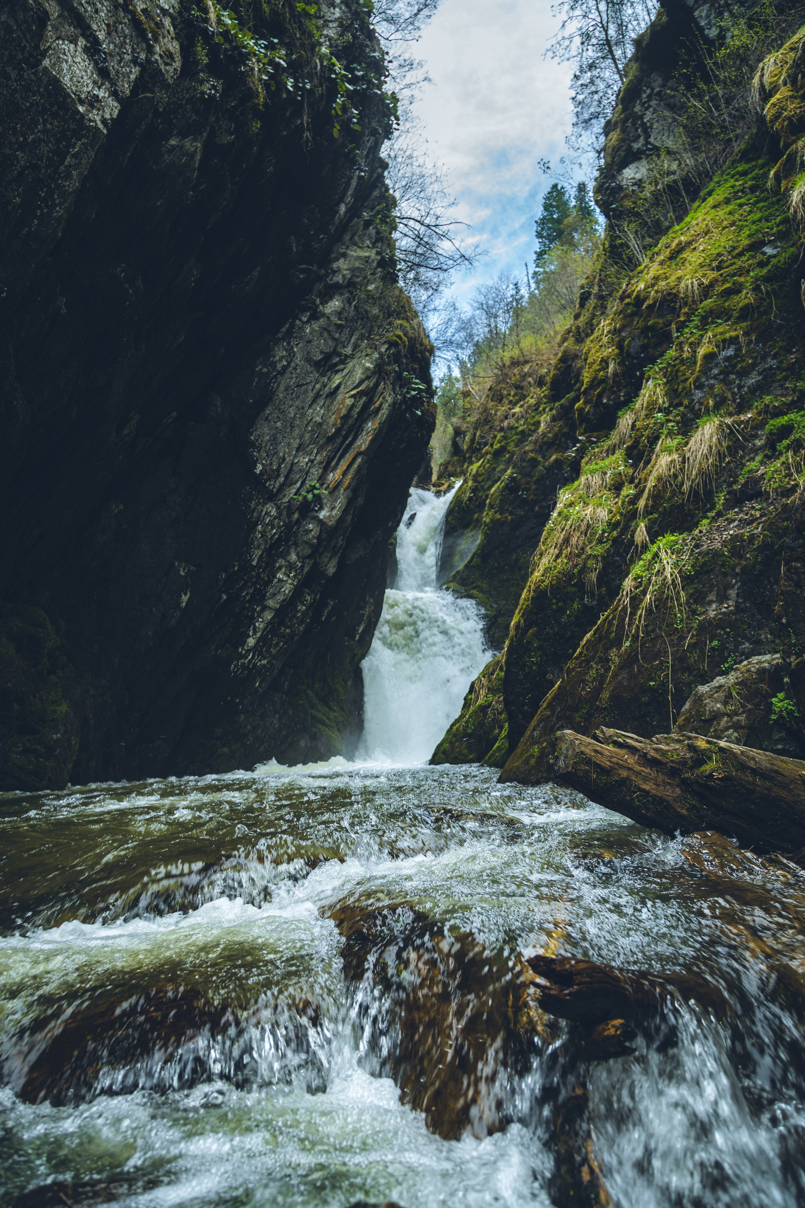Алтай (май 2024). Фотограф ваших событий в Красноярске — Макс Захарченко