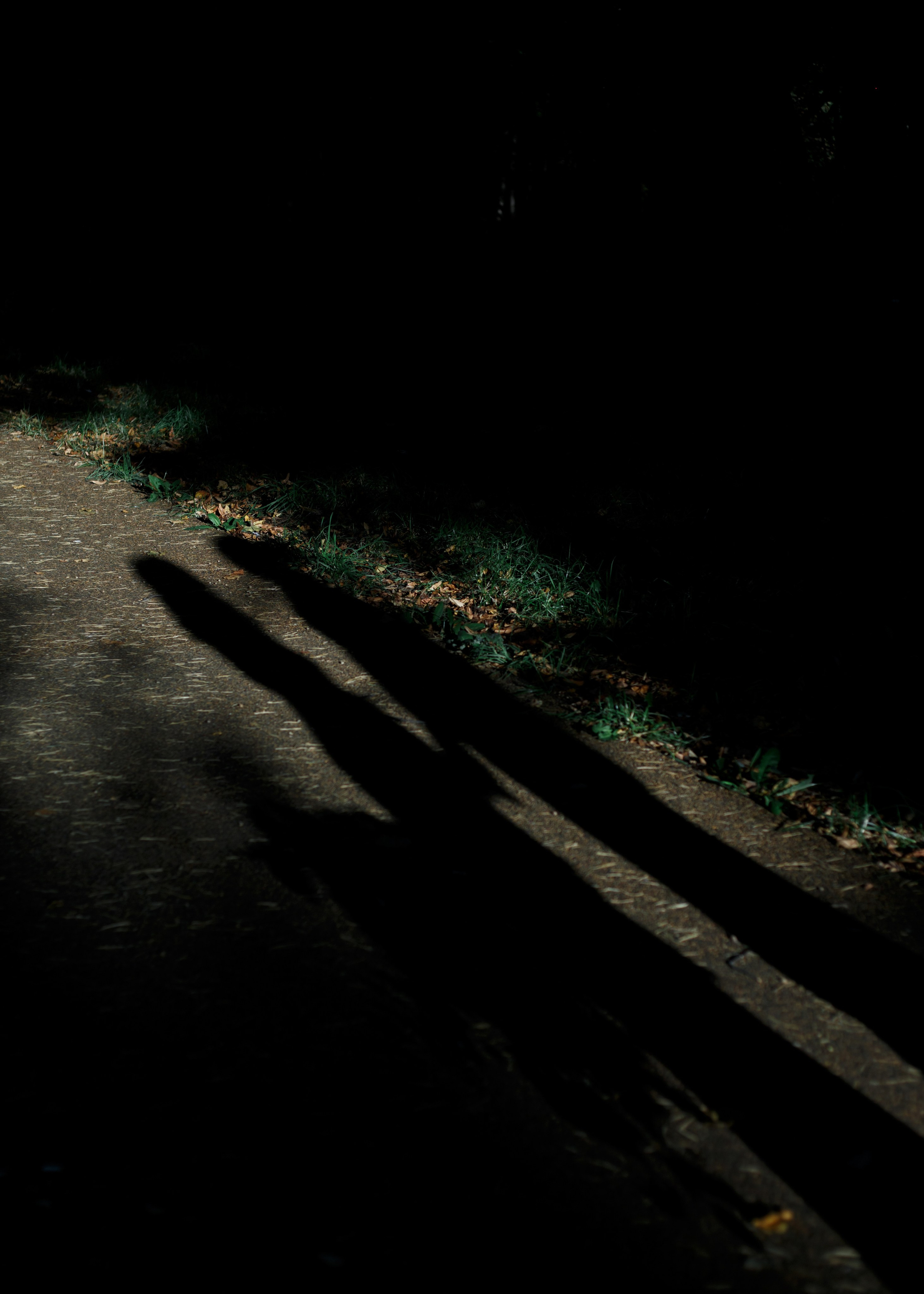 Парк. Студия декора Подзюм