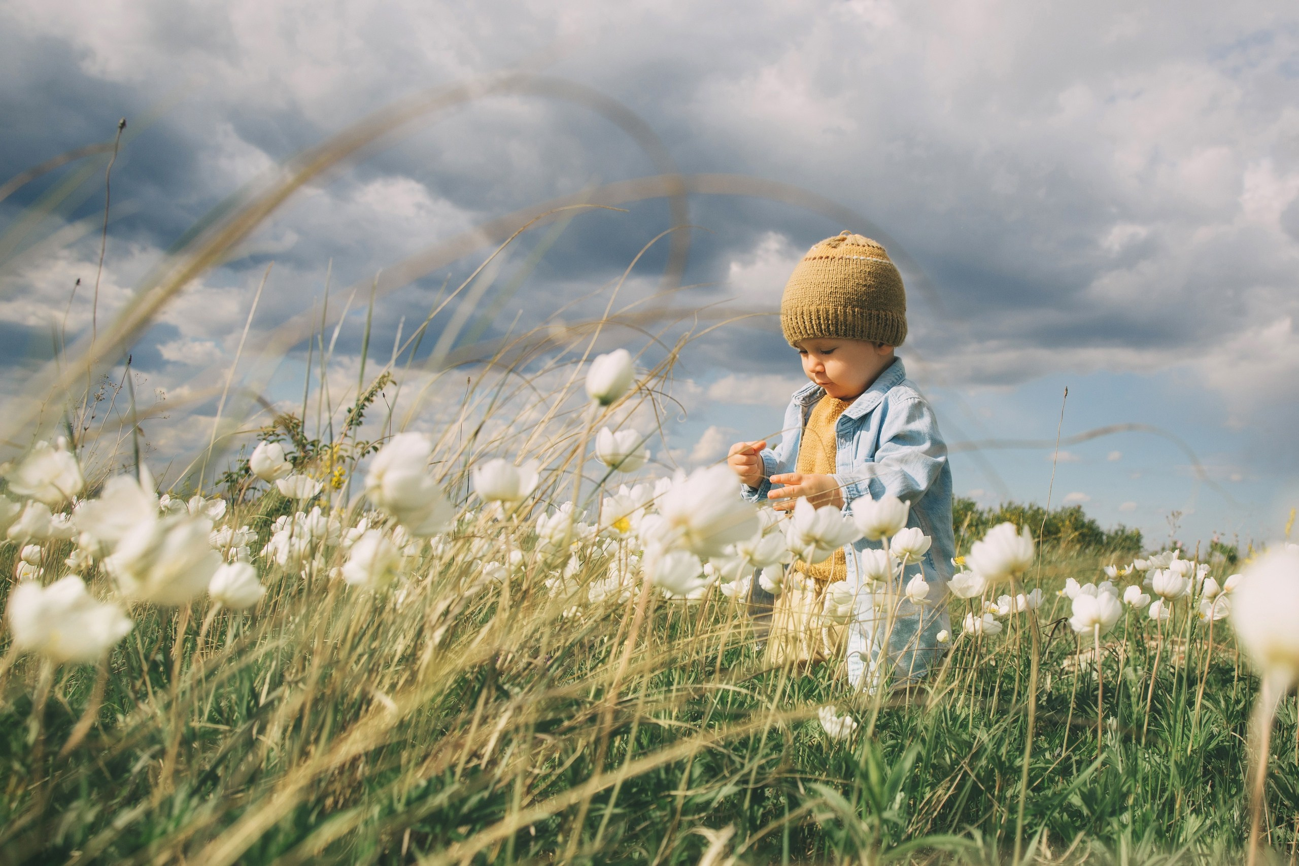 Семья. Свадебный и семейный фотограф в Самаре Толя Саркан