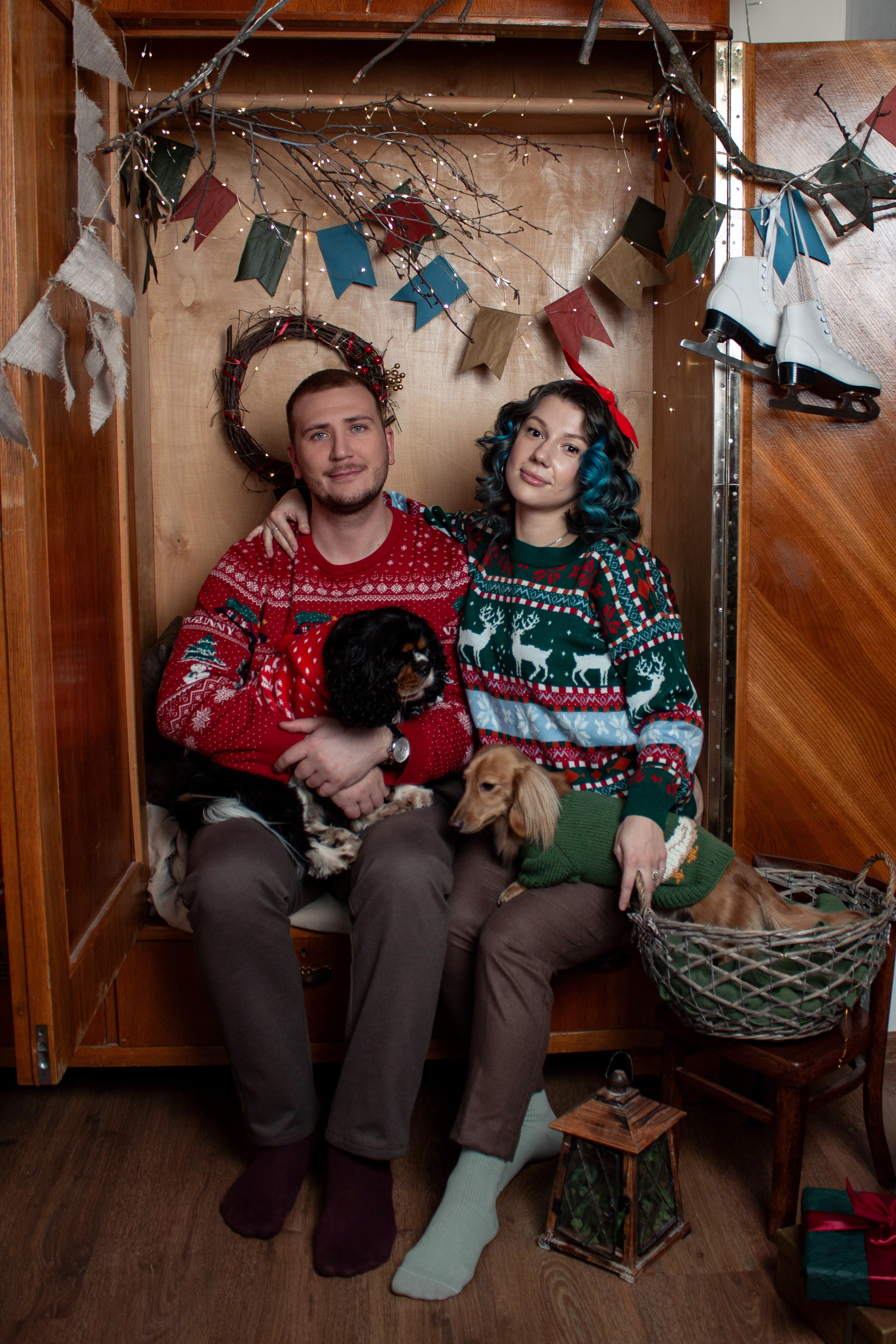 Новогодние собаки. Фотограф в Санкт-Петербурге Рейдер Дарья