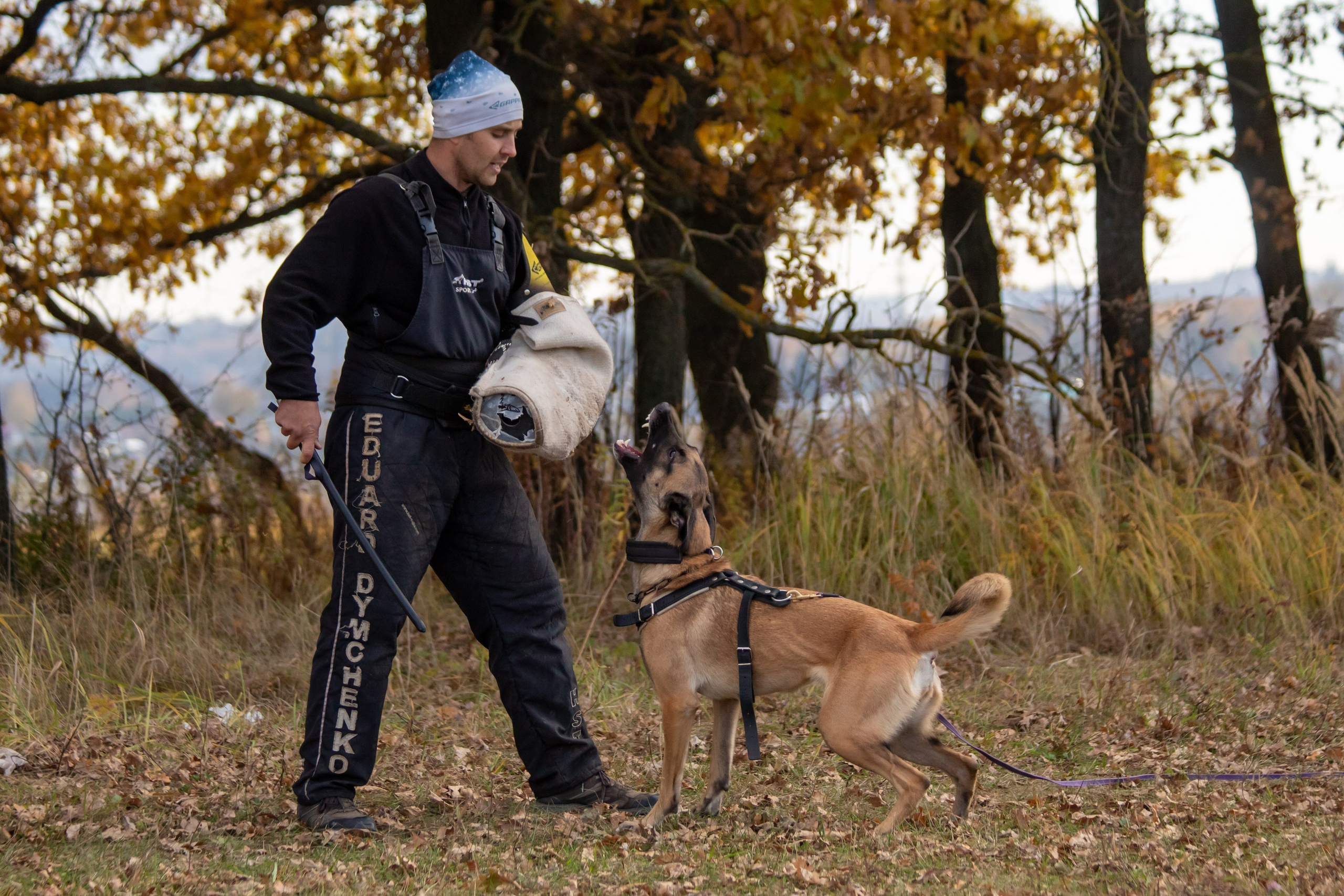 Тренинг защитного раздела. Фотограф анималист — Тула, Москва
